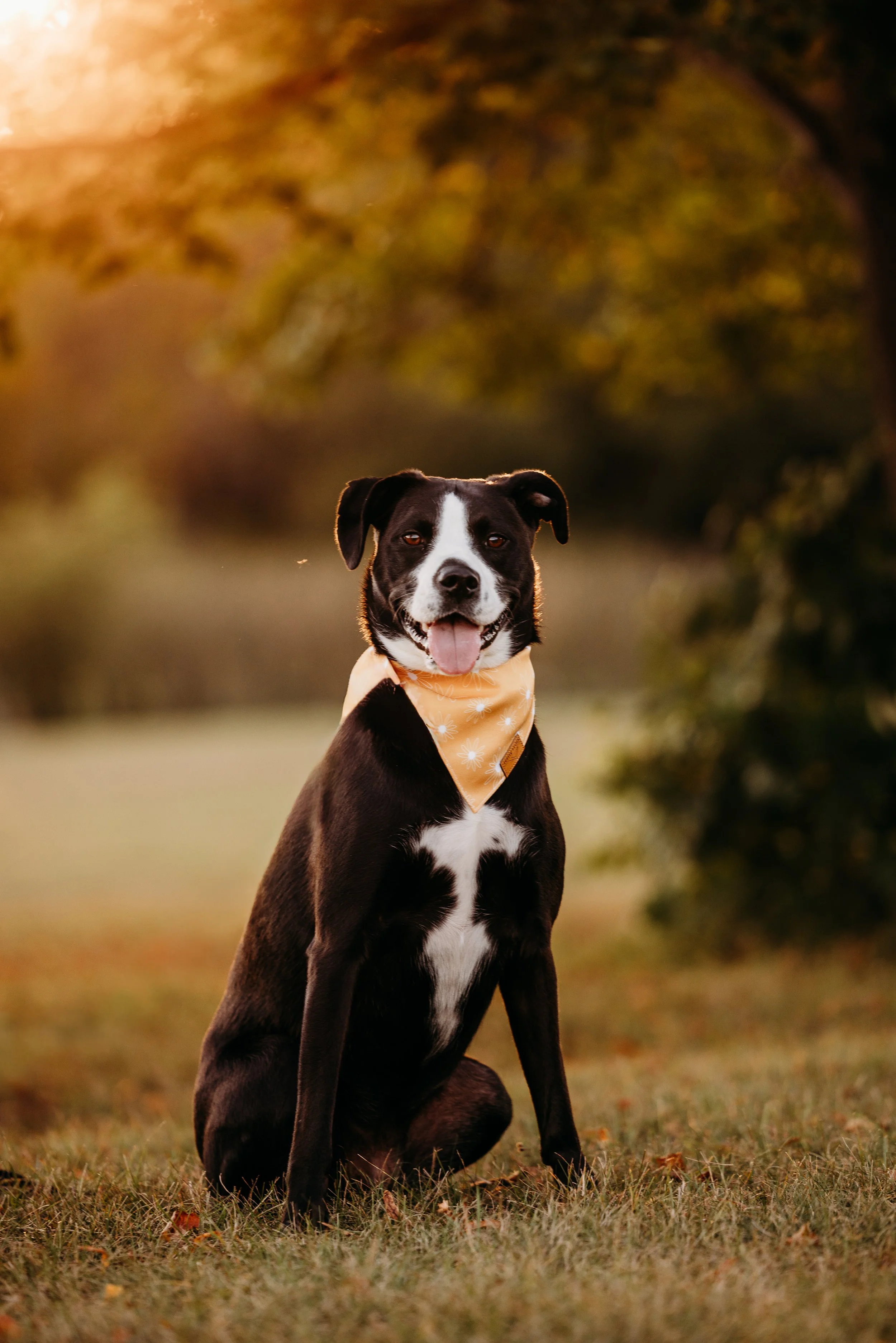 Rahn Family-6.jpg