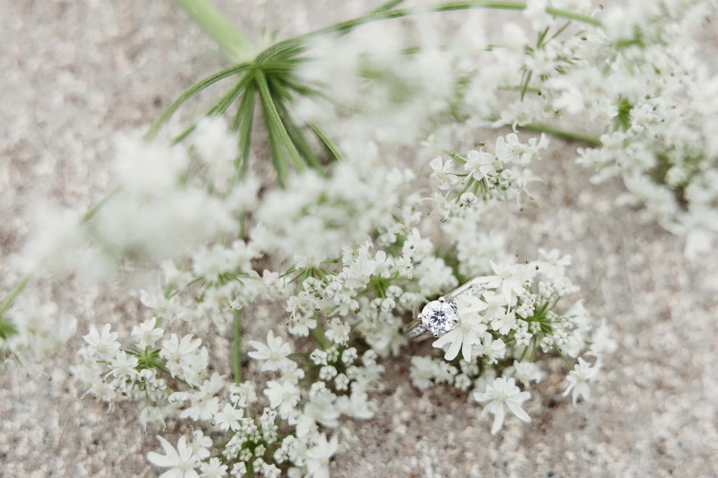 Mason & Lexi Engagement-28.jpg
