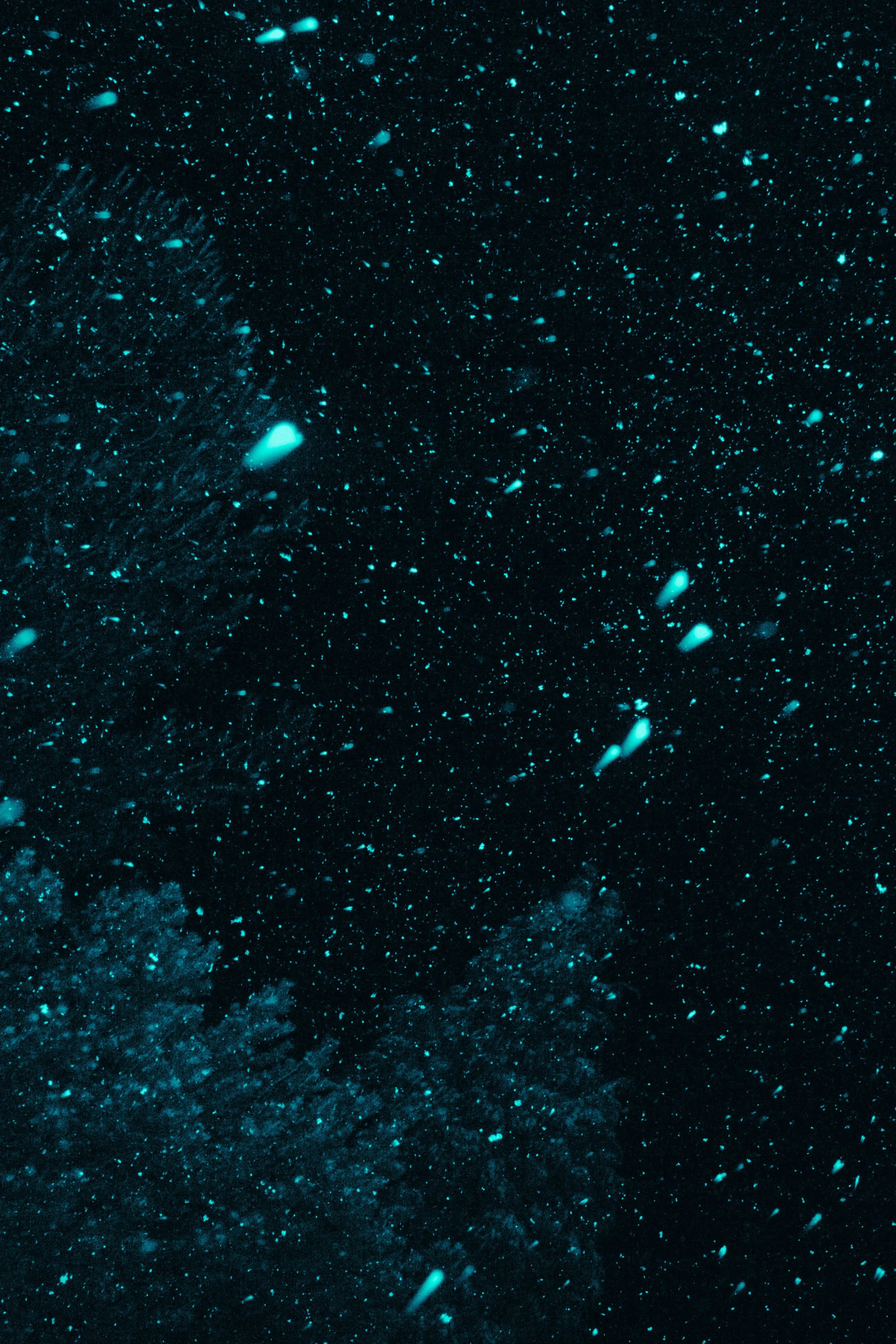 VisualDiary_SarahKoester_01102022-7b-web.jpg