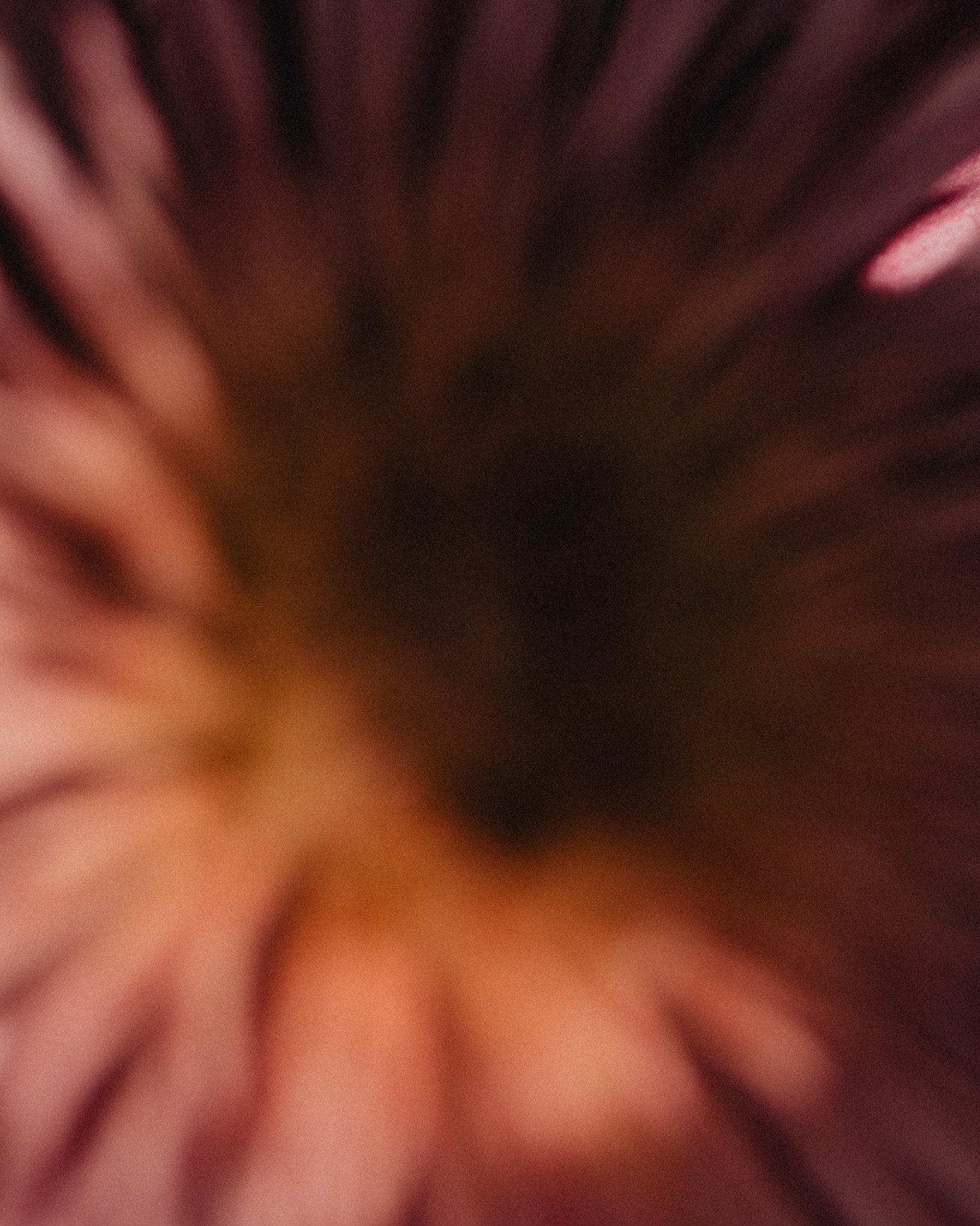 vague_SarahKoester-29.jpg