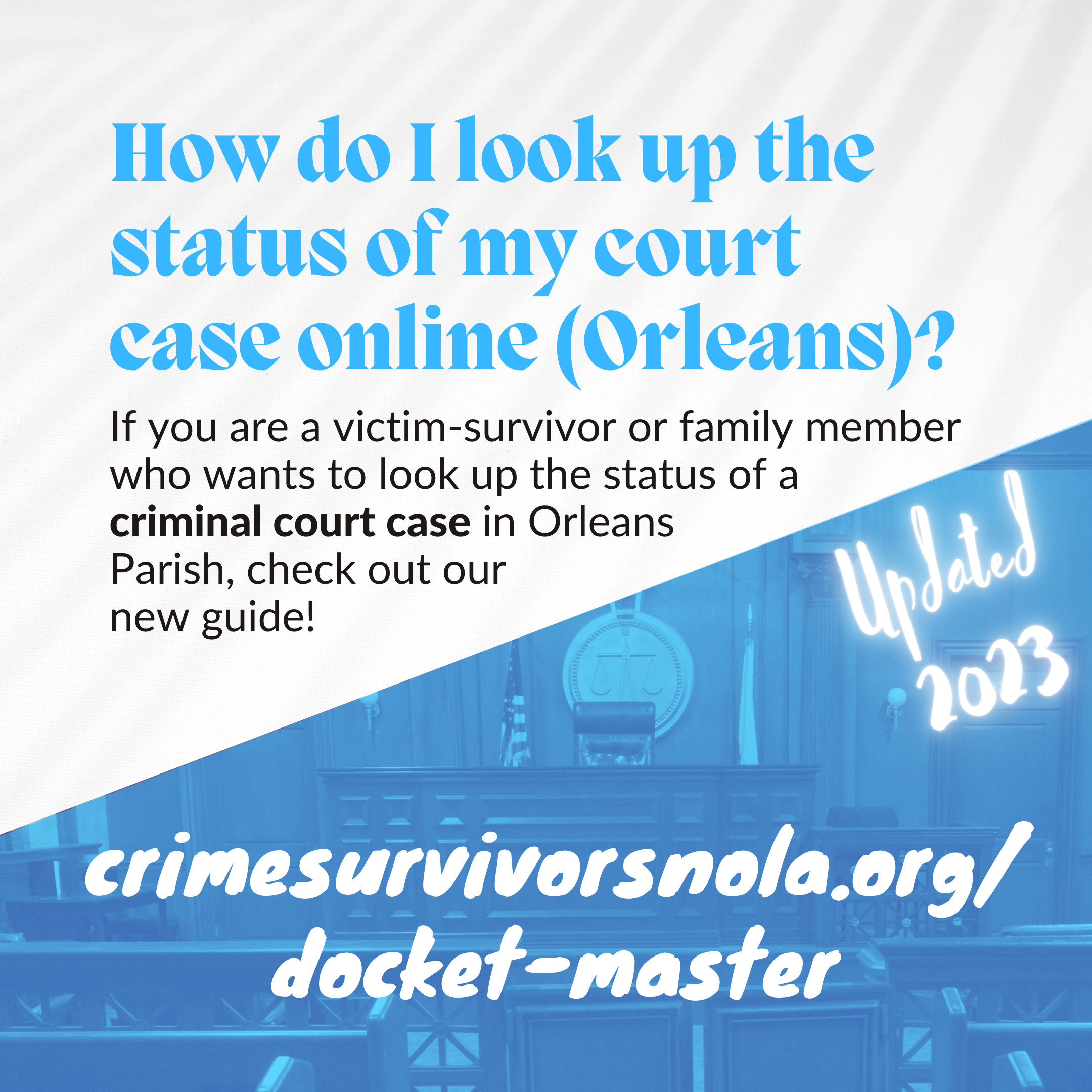 How do I look up the status of an Orleans Parish criminal court case online?