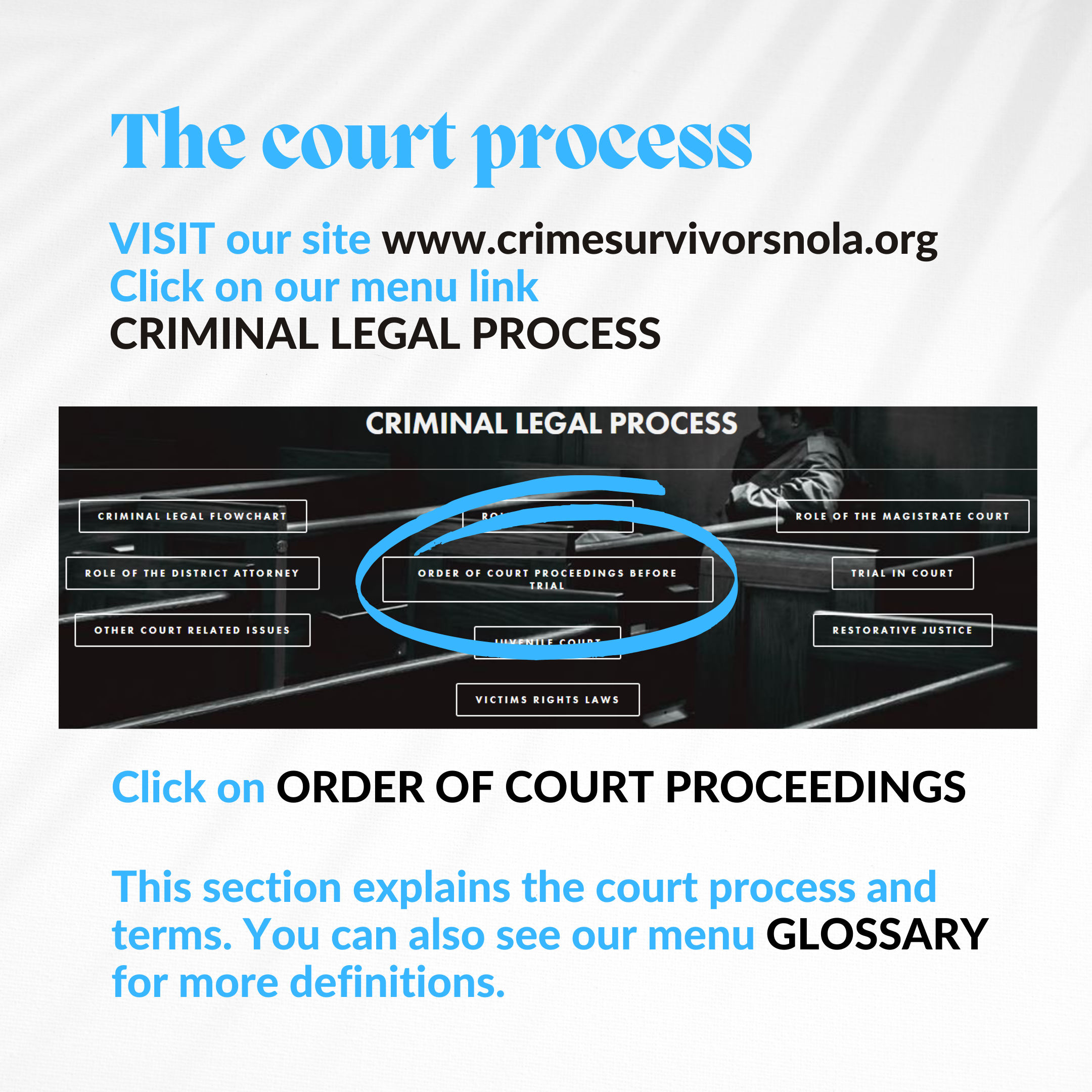 The Court Process