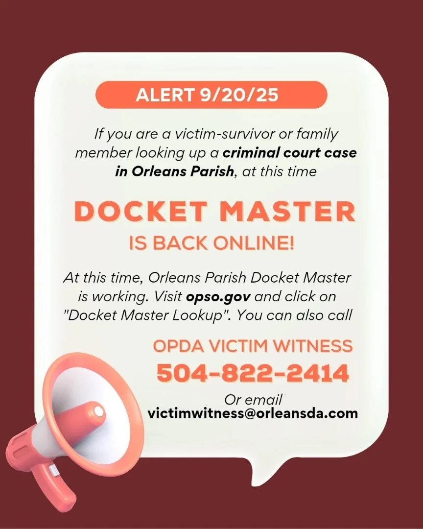 As of today, Orleans Parish Docket Master is back online for criminal court case lookup. Visit opso.gov and click on &quot;Docket Master Lookup&quot;.