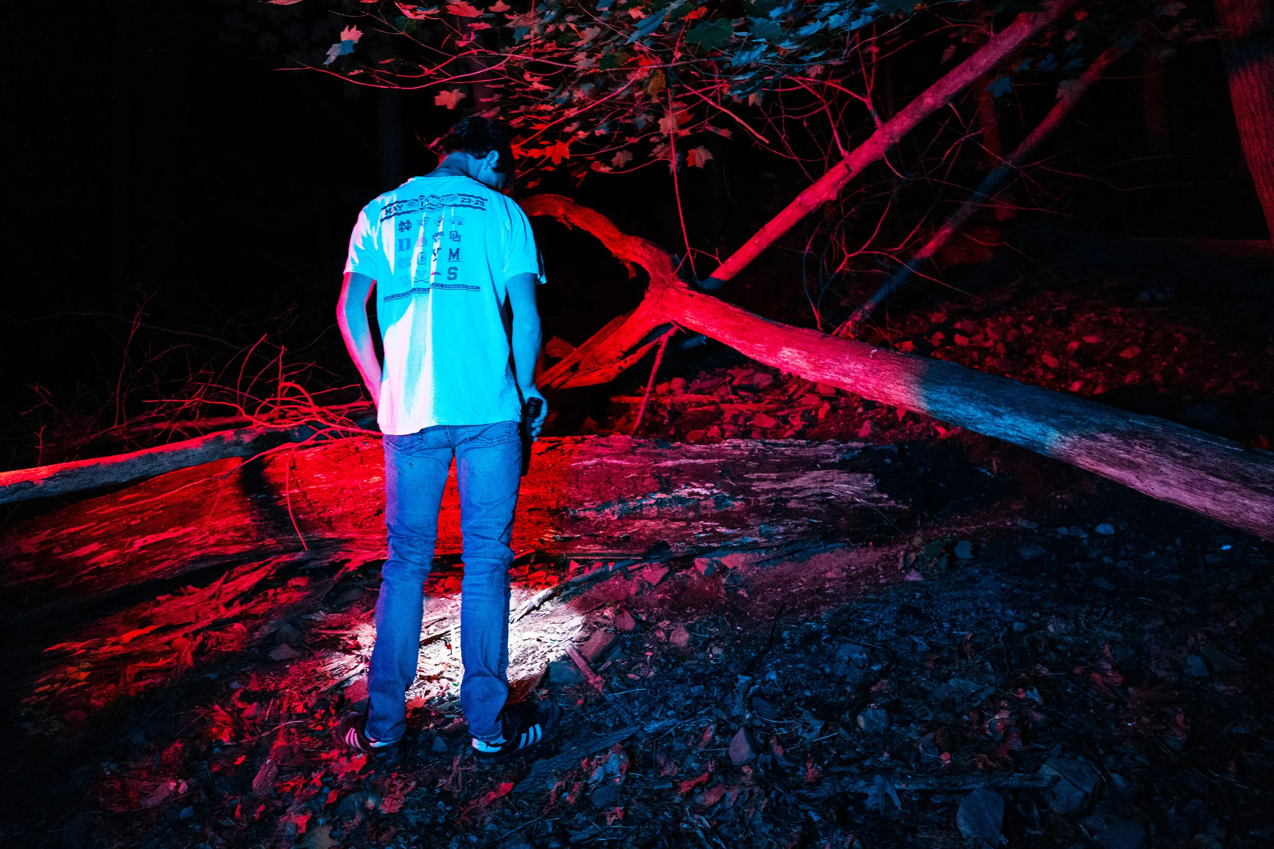 LIGHT2.jpg