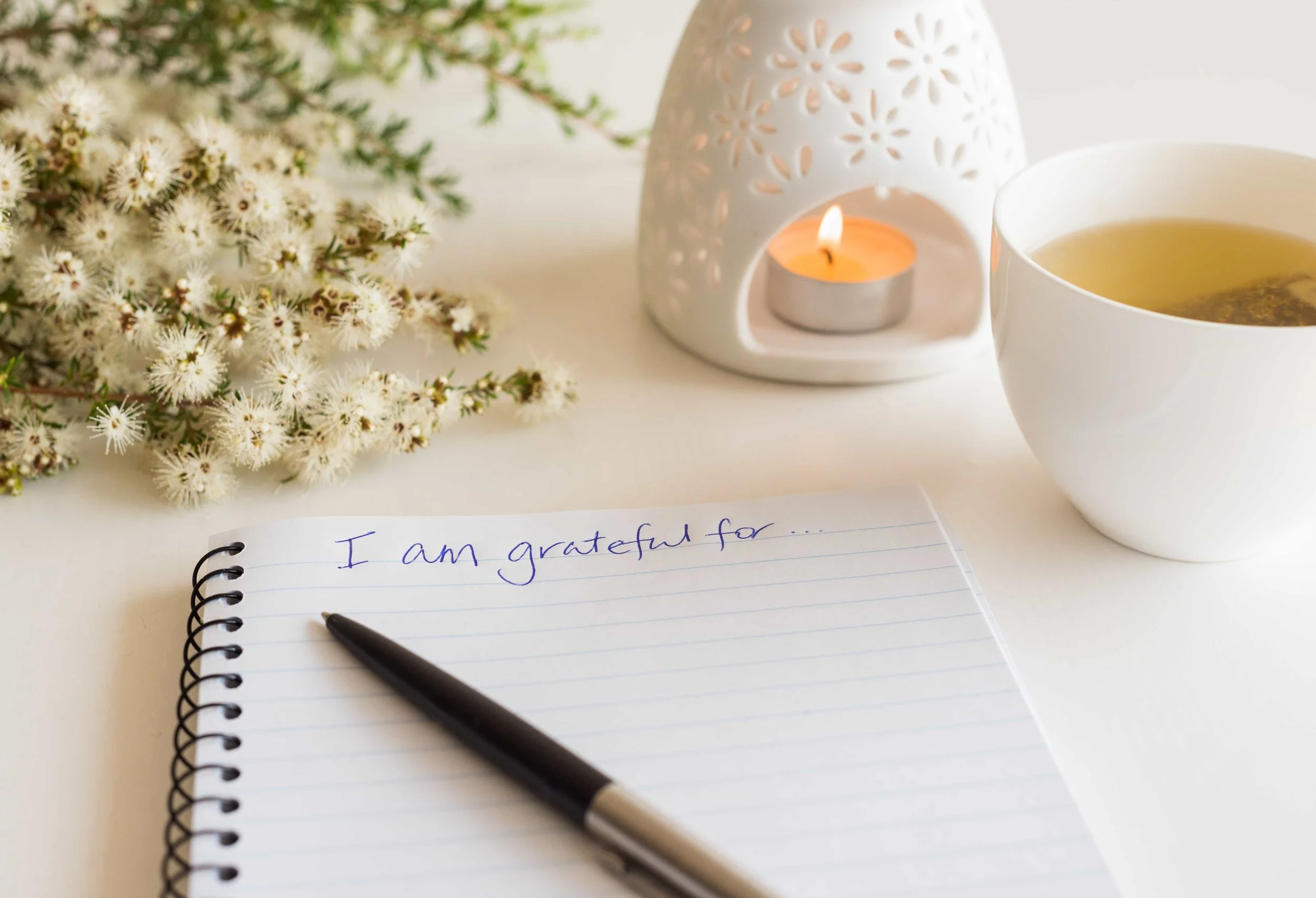 The Profound Impact of Gratitude on Well-being