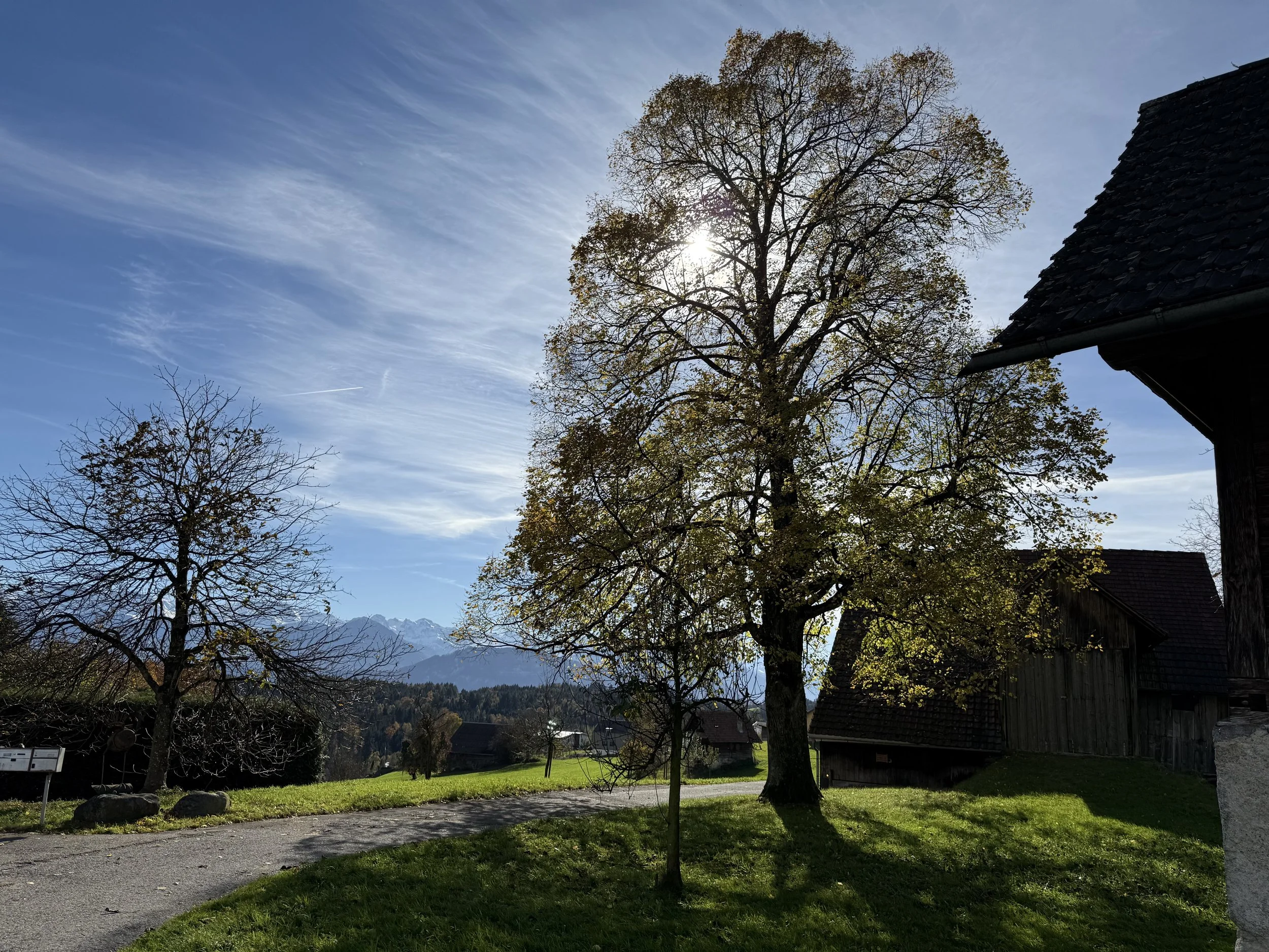 The Power of Small Moments in Nature