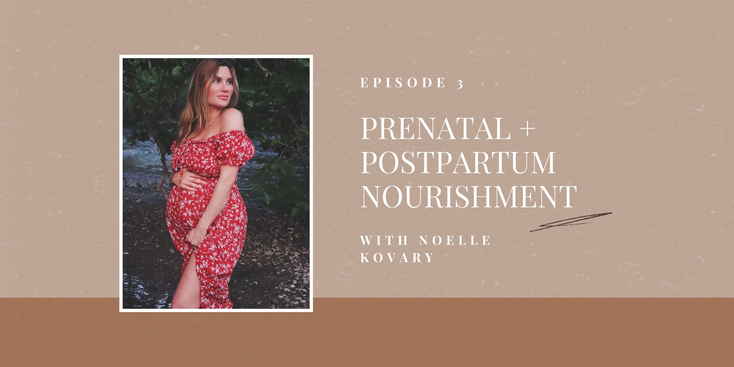 Episode 3 Prenatal + Postpartum Nourishment with Noelle Kovary