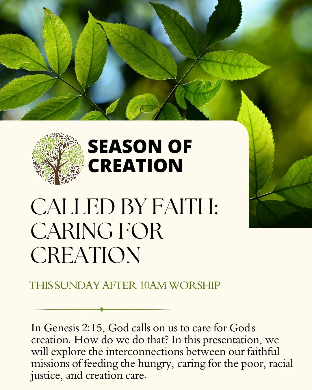 We are excited to have Joy Baxter from our synod's Care for Creation team with us on Sunday to share a special presentation on the intersection between creation care, feeding the hungry, caring for the poor, and racial justice. Join us after our 10AM