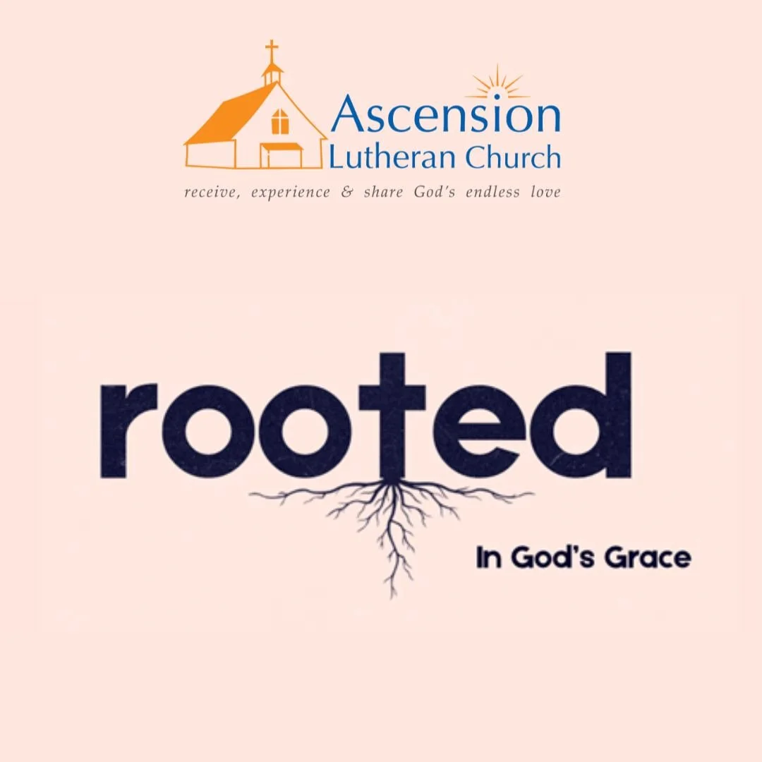 Every October, we take time as a community to focus on stewardship: how have we seen God at work in this past year and where are we being called to plant new seeds in the coming year? This year our theme is &quot;Rooted in Grace.&quot; In a world tha