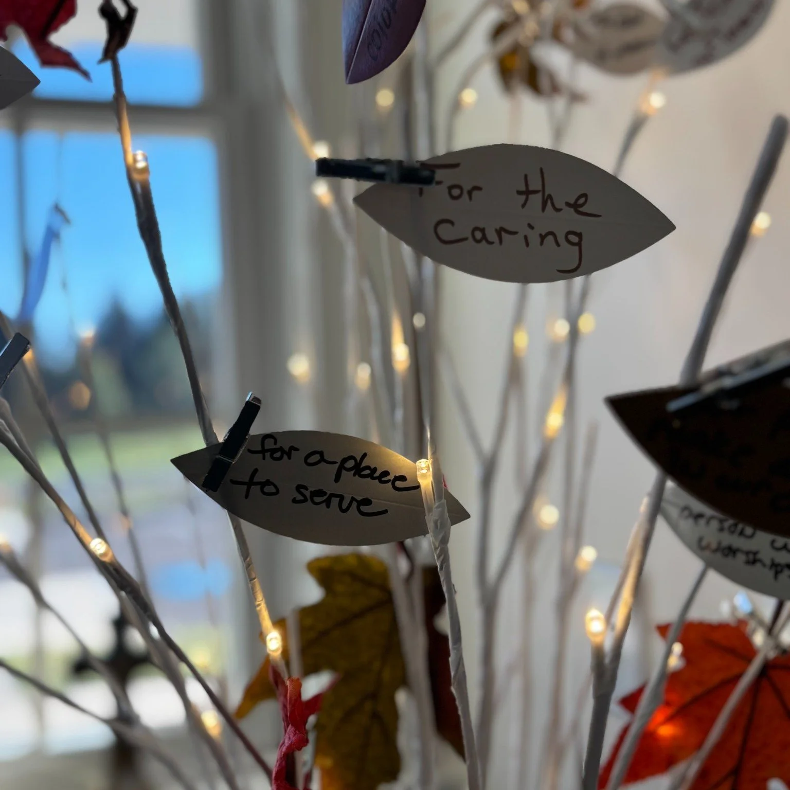 Have you seen our Gratitude Tree? 
During our stewardship season, we're naming how we've seen God's grace in our community by placing our thanksgiving on this tree. Slowly, the tree has begun to gain more and more foliage just like trees which surro