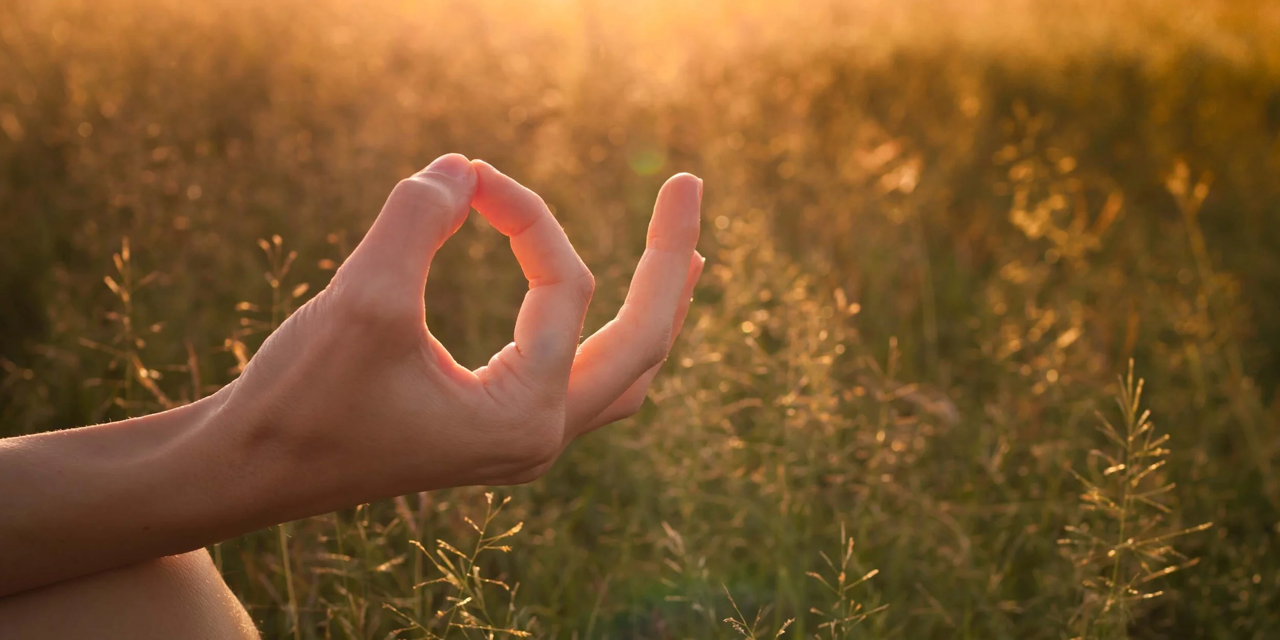 Mudra-Header-1-Cropped.jpg