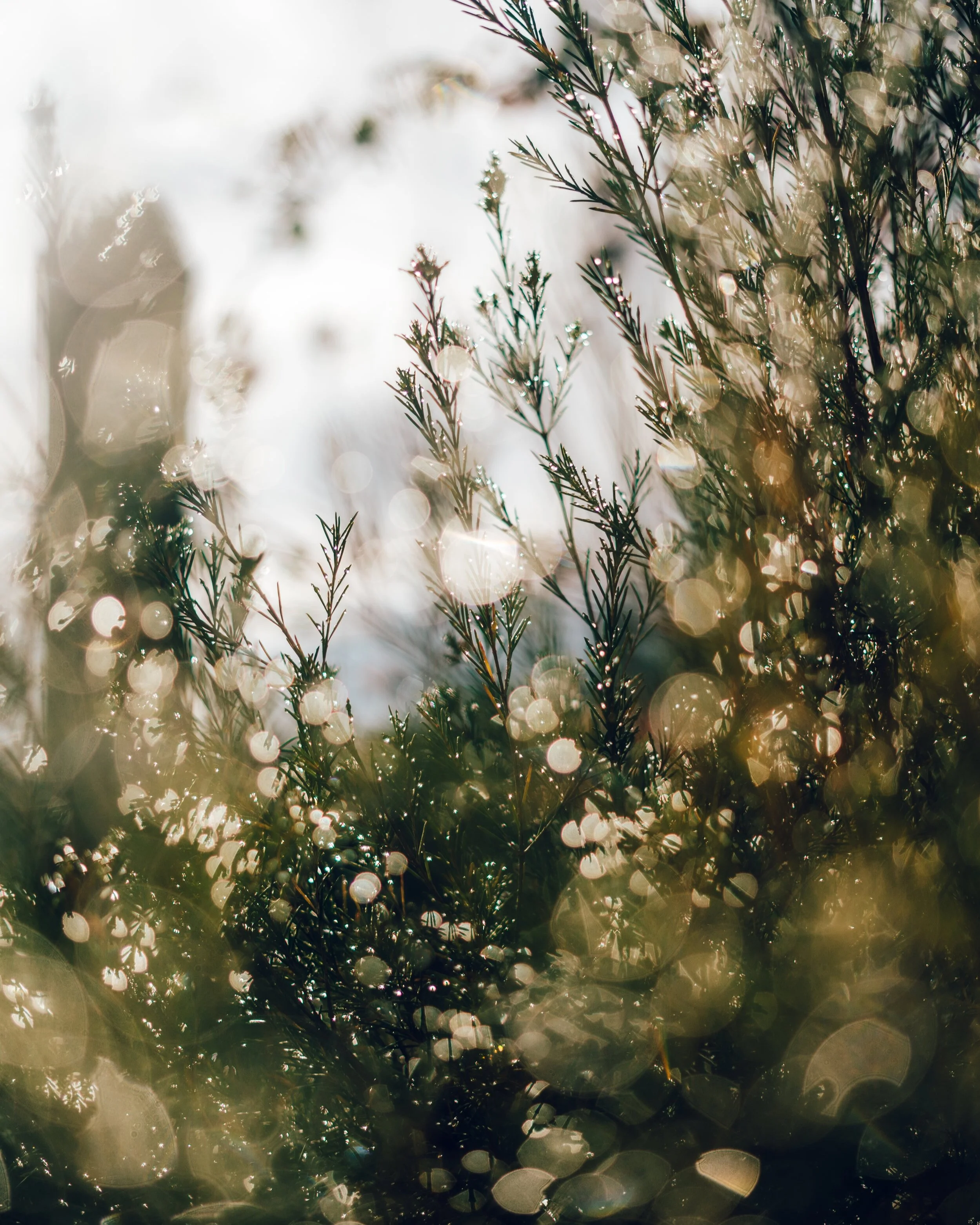 Online options soon coming for Yoga Classes