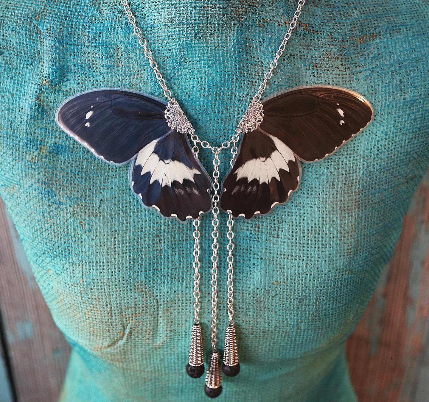 &ldquo;Life is a series of natural and spontaneous changes.&rdquo; - Lao Tzu 
Forrest Giant Butterfly (Papilio gambrisius)
🖤
#wearableart
#entomology 
#naturalhistory