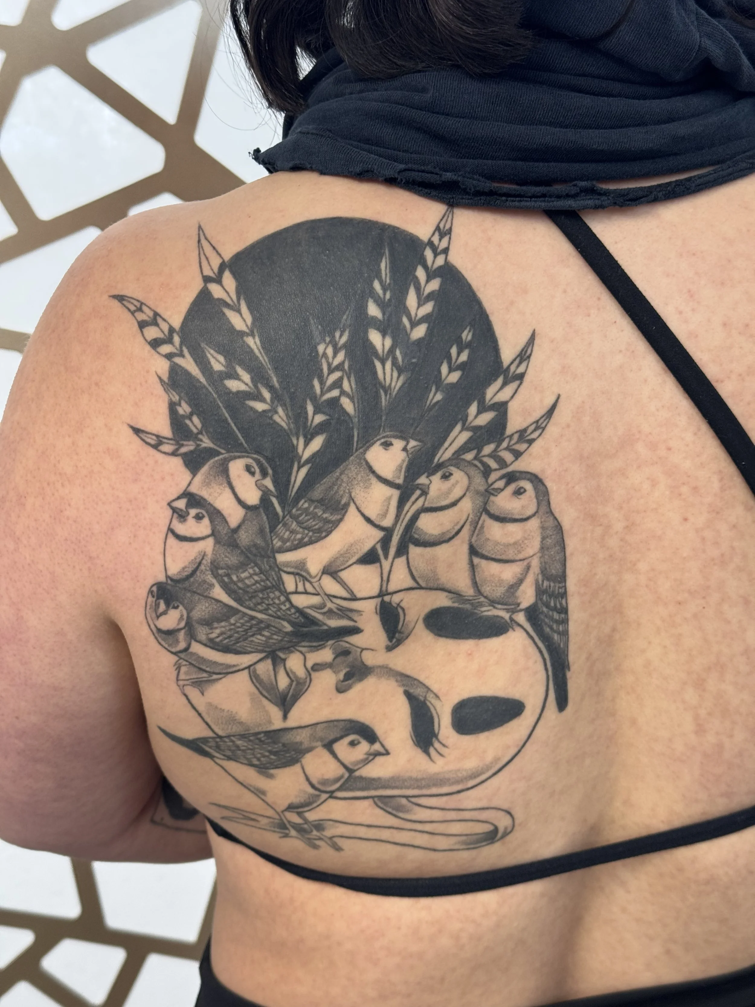 Healed coverup 3+ months