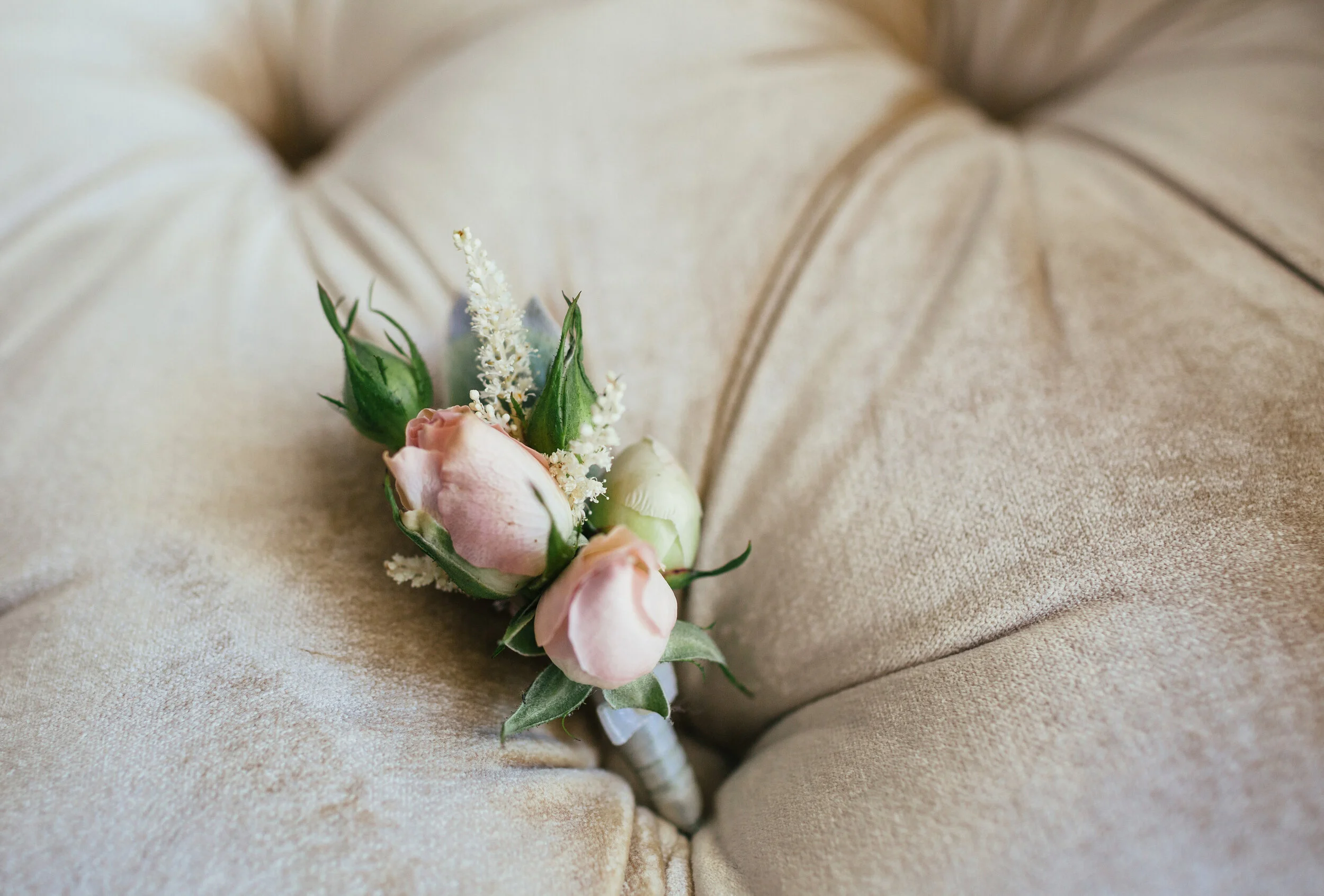 A LITTLE LIFE LATELY {Gratitude &amp; the Foxy lil Pom}