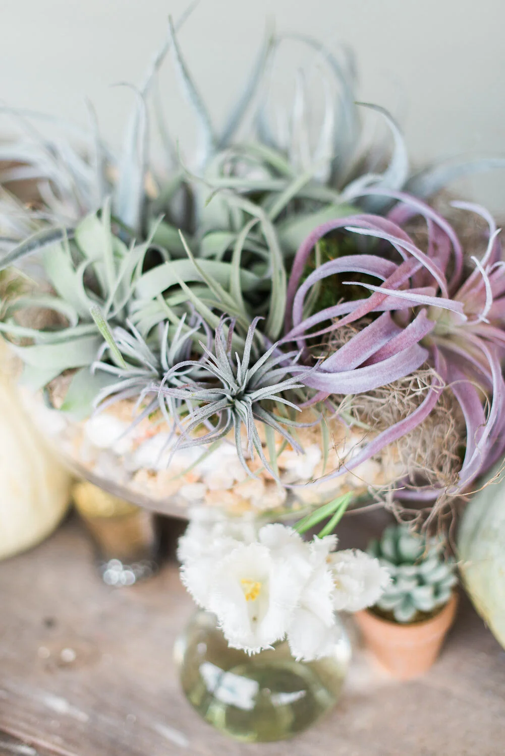 A LITTLE INSTALOVE FRIDAY {Engagement Sneak Peek}