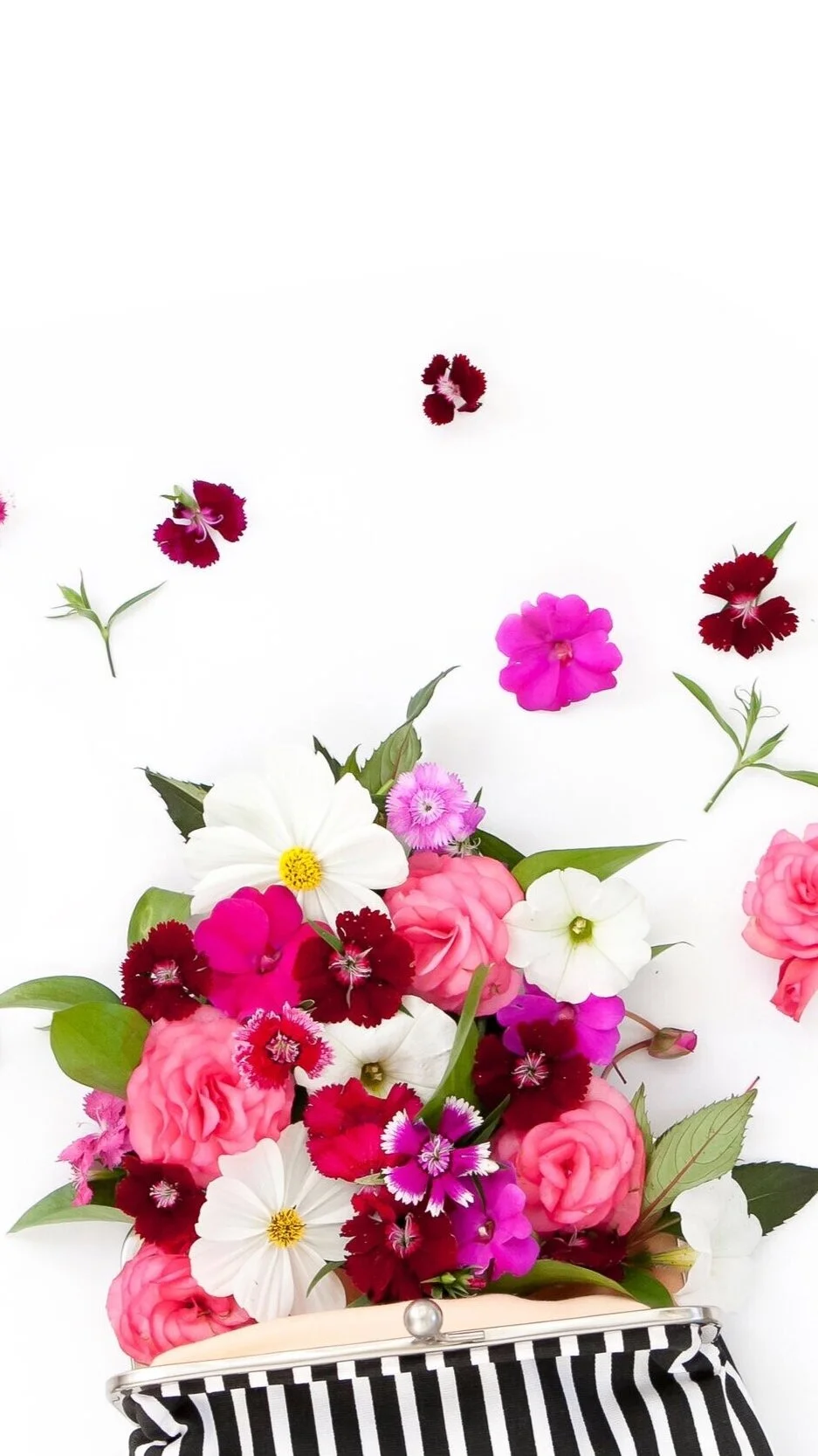 THE NEW &amp; IMPROVED CASSANDRA DATTOLI EVENTS