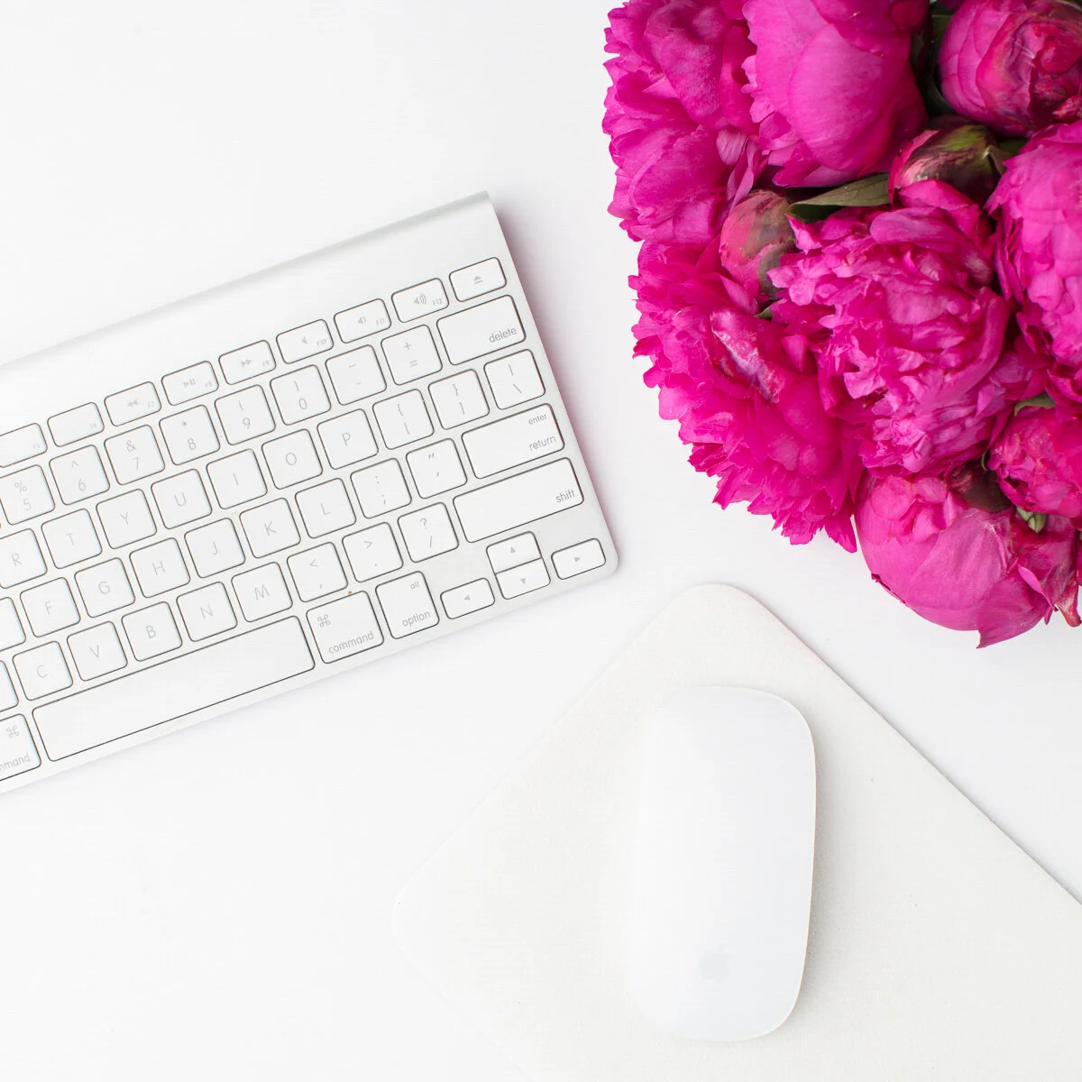 Confessions of a Rebrand {Building a Brand}