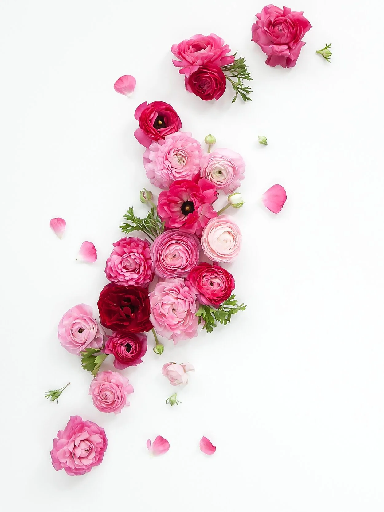 OUR FIRST HOME {Chateau Dattoli: Part II}