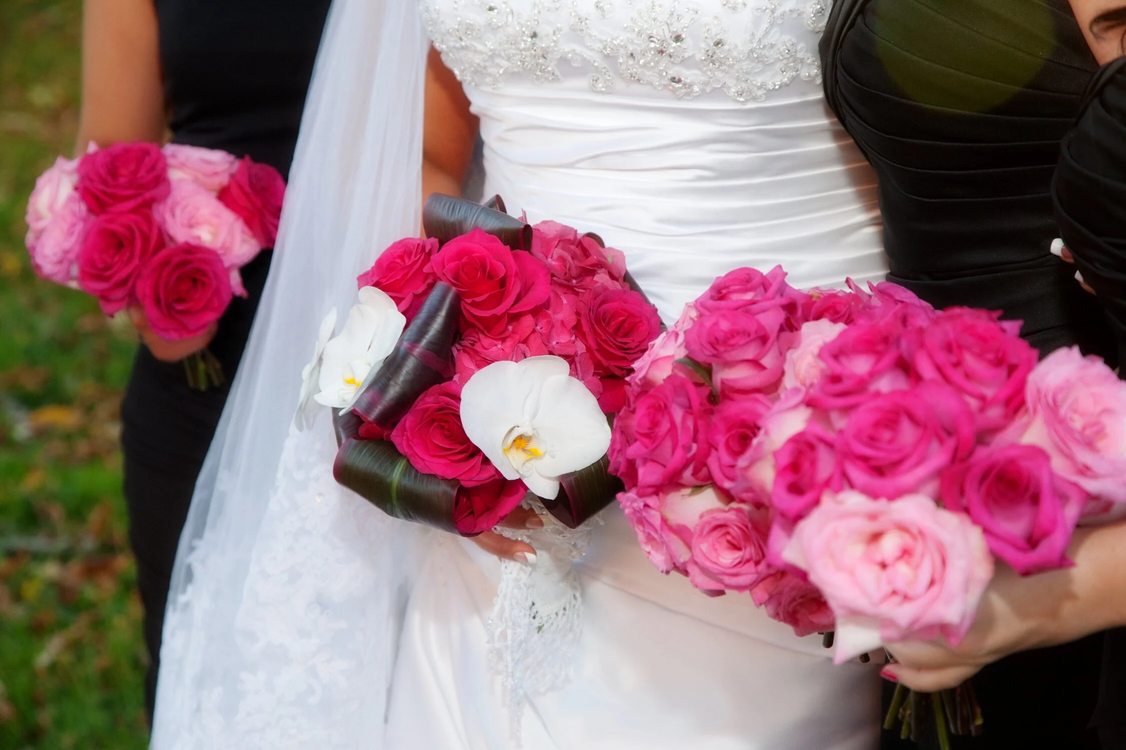 Q's and A's {Ask Cassandra}