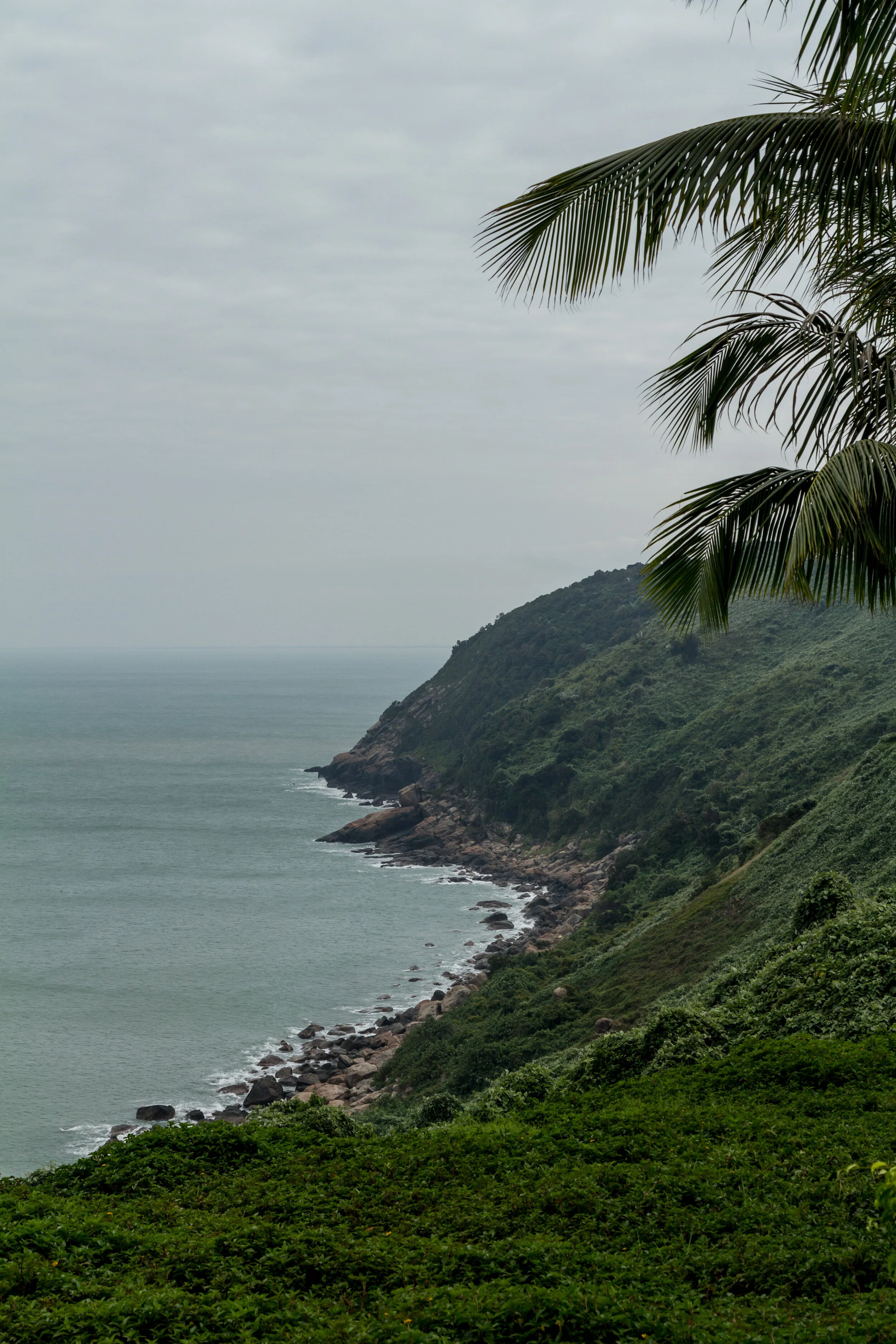 Coastal