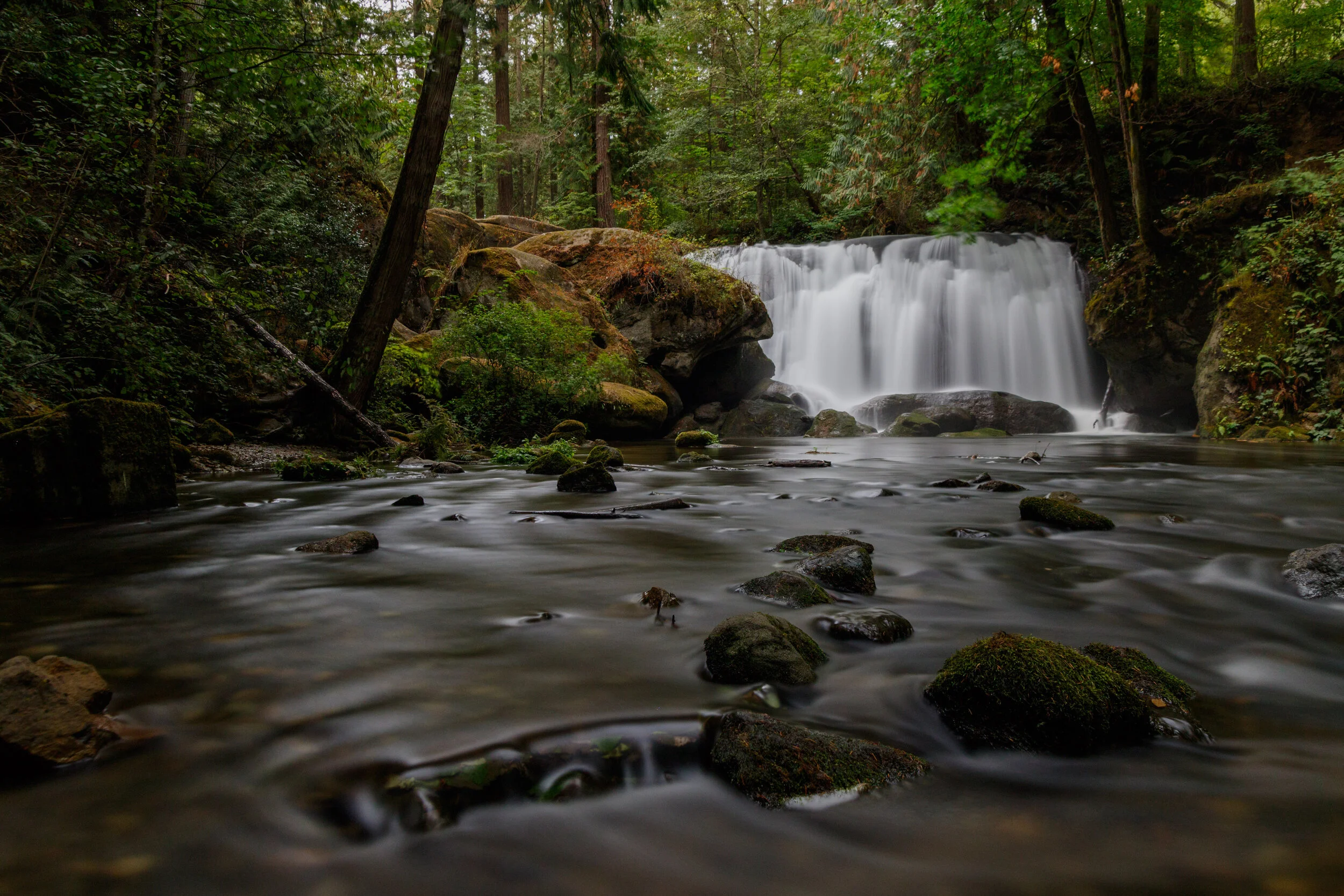 Whatcom Falls
