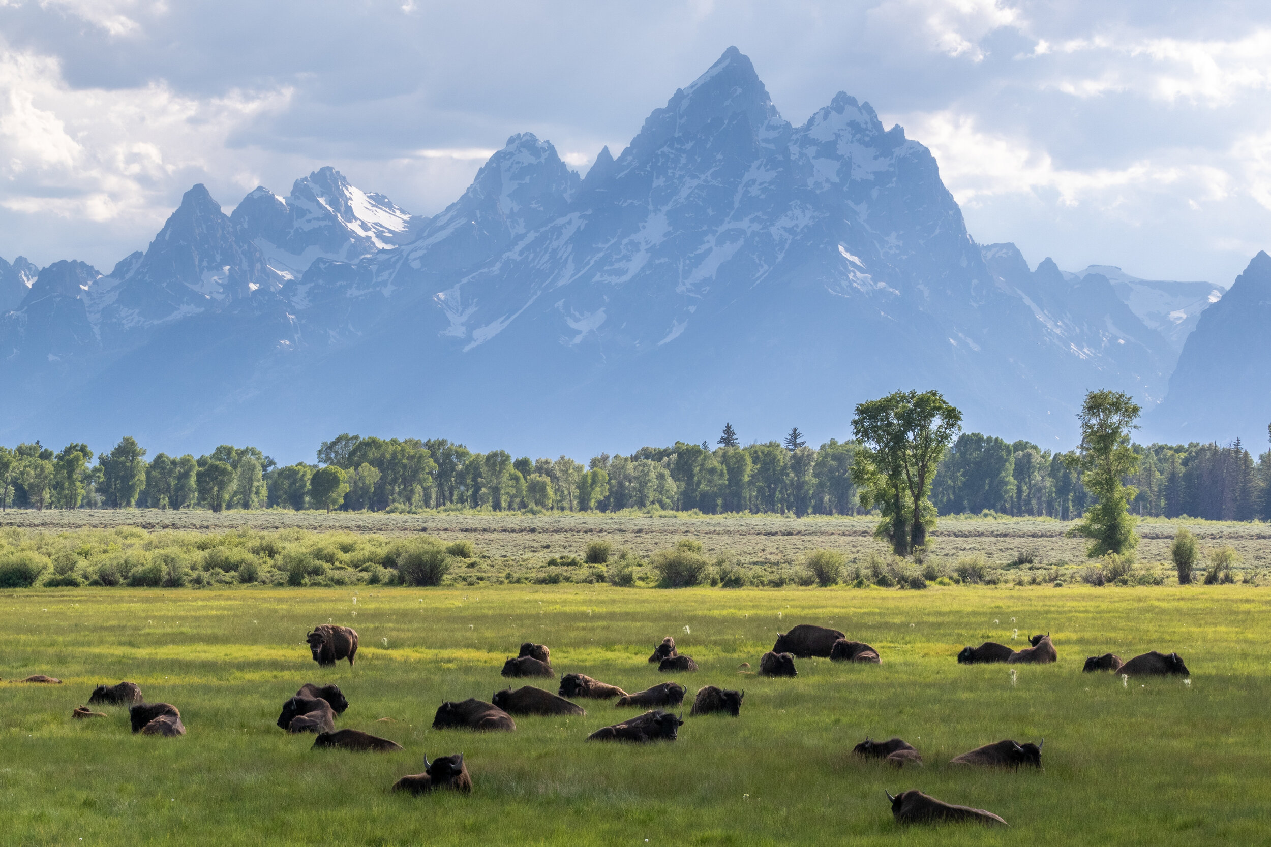 Grand Tetons