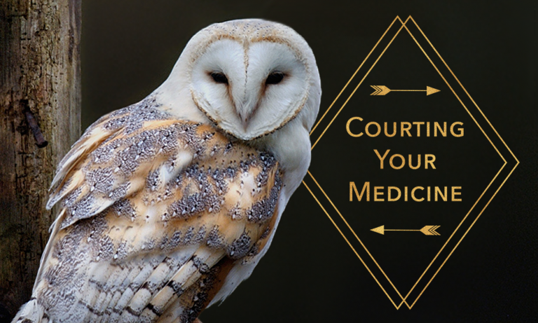 Courting Your Medicine