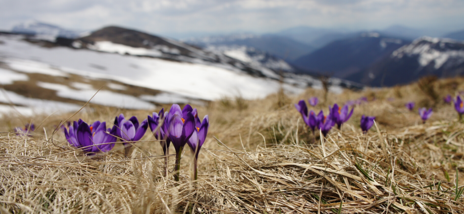 Screen Shot 2020-02-13 at 3.06.57 PM.png