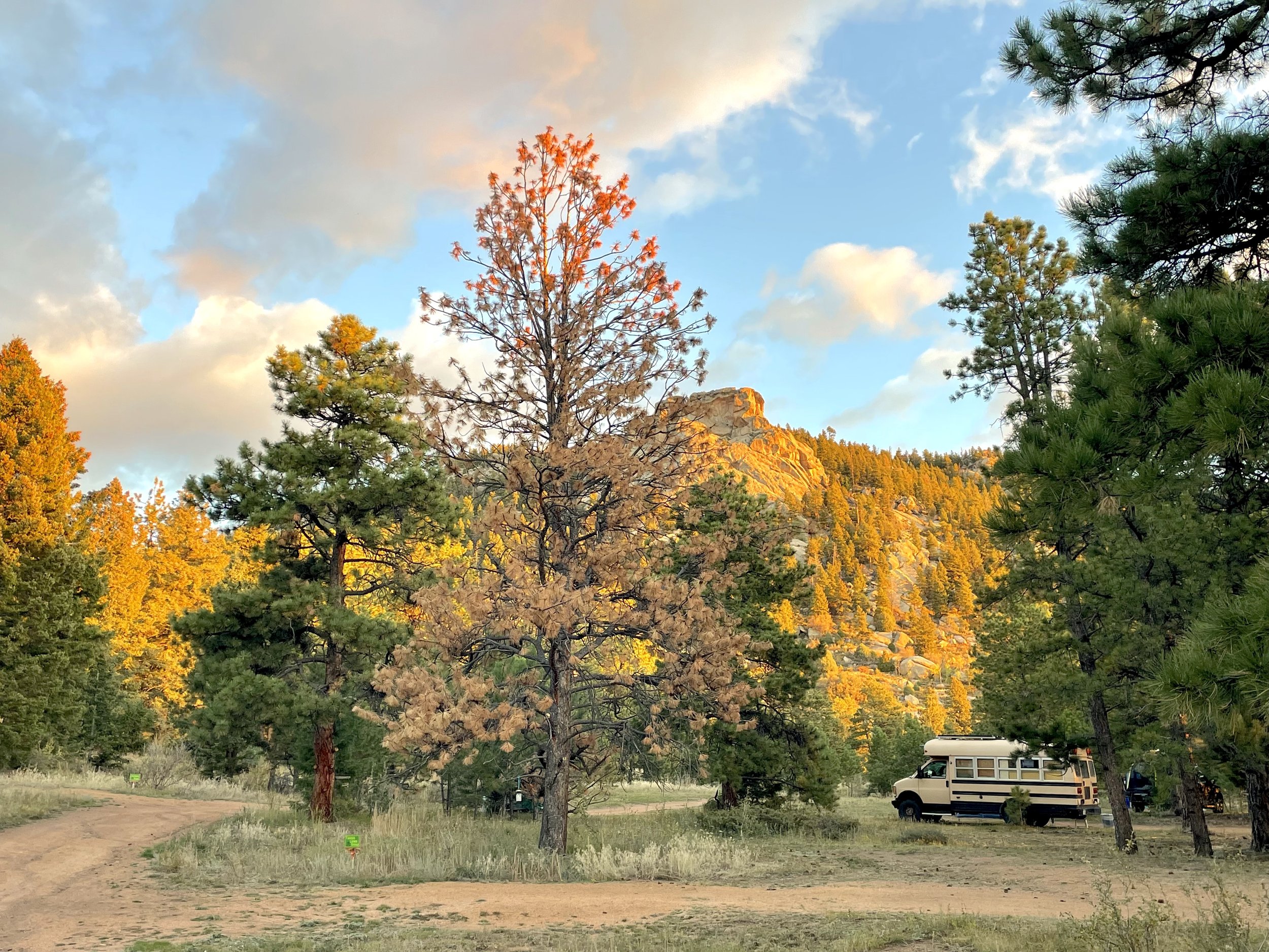 Immersive Camping Retreat