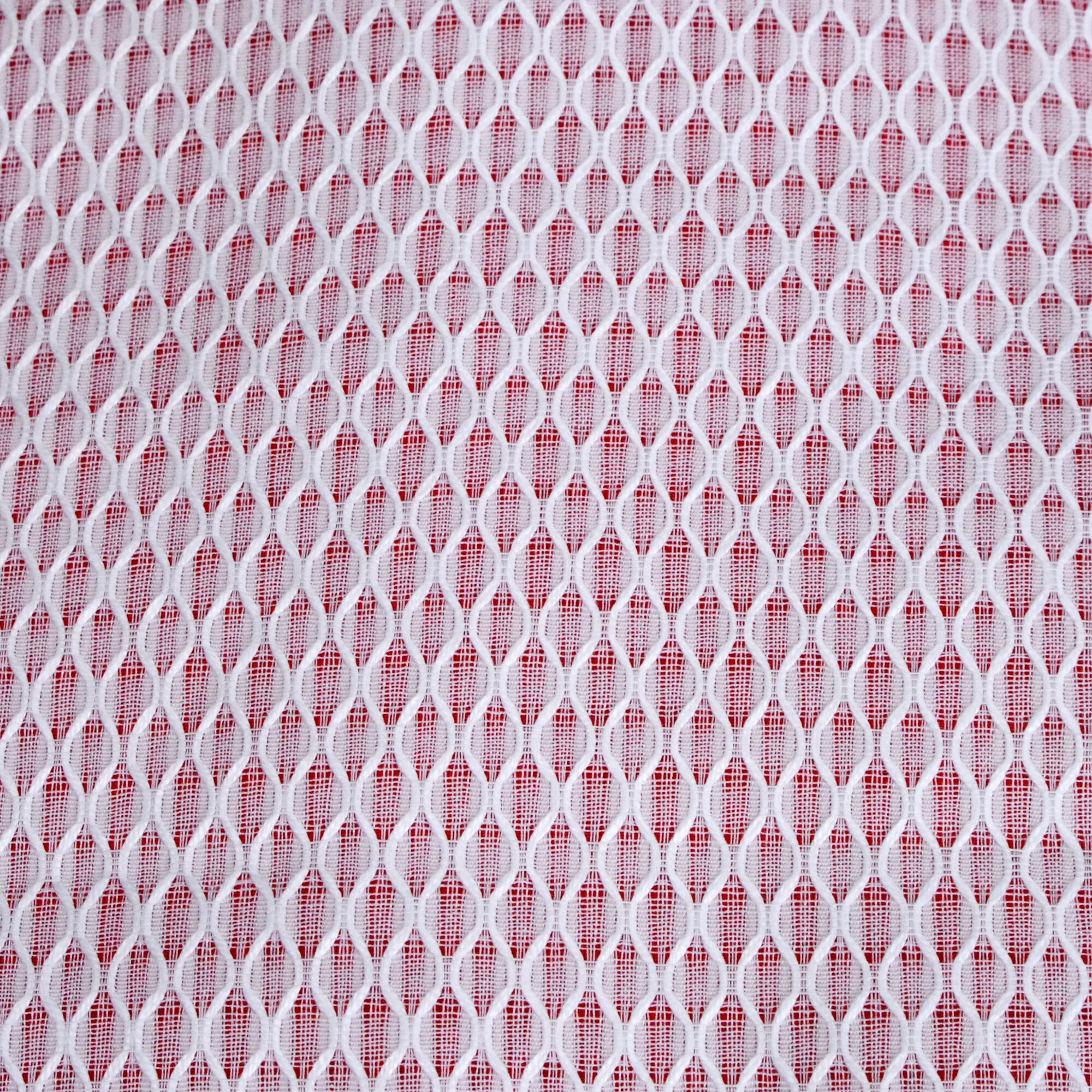 Cotton-042-e.JPG