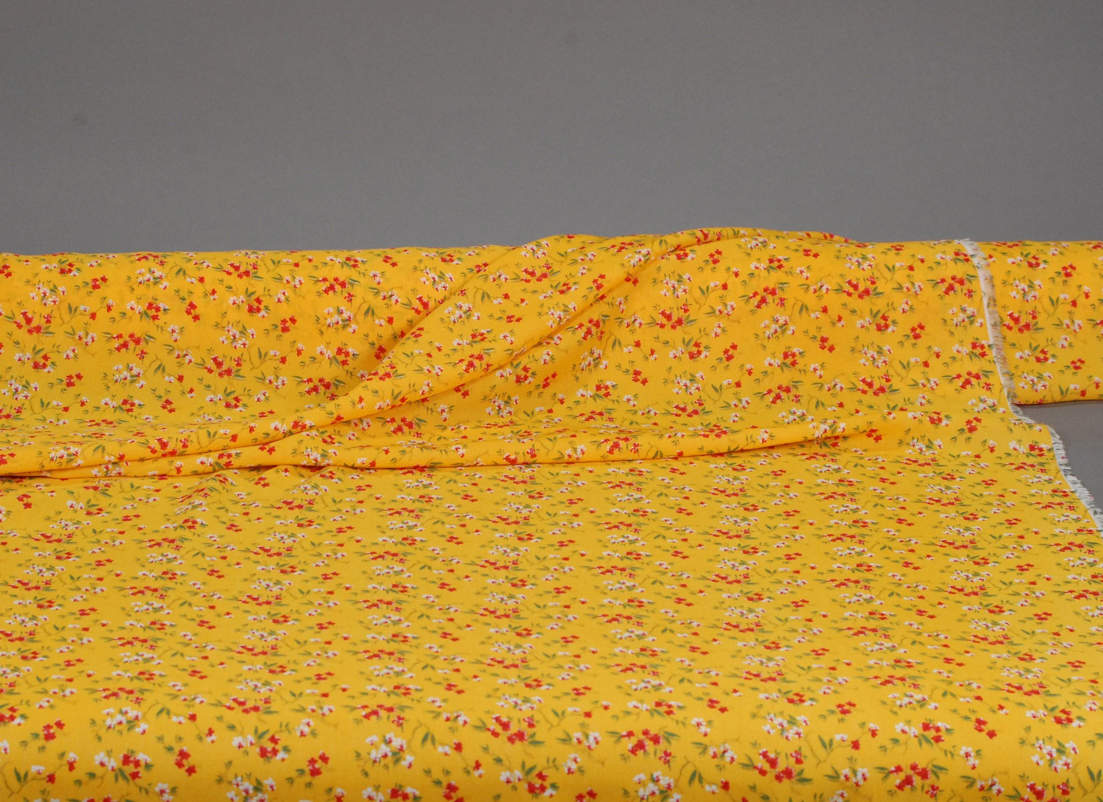 Cotton-080-a.JPG