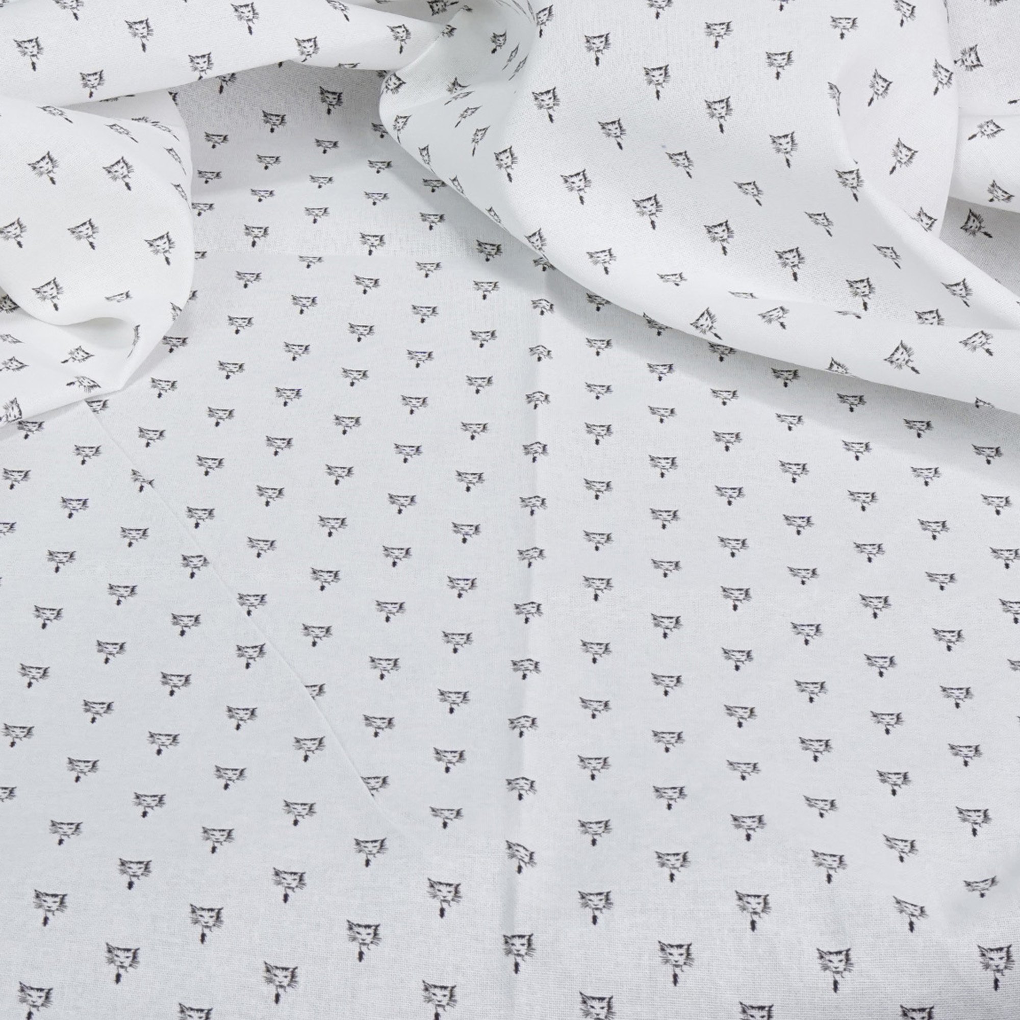 Cotton-102-c.jpg