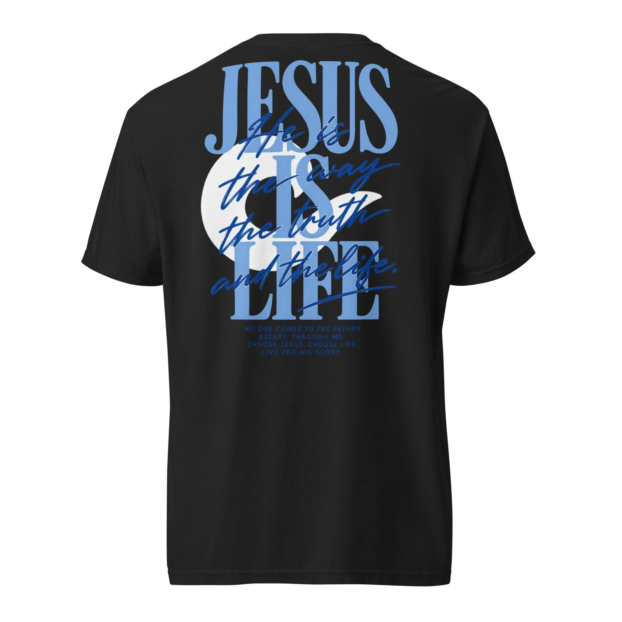 unisex-garment-dyed-heavyweight-t-shirt-black-back-6ad2920060f03.jpg