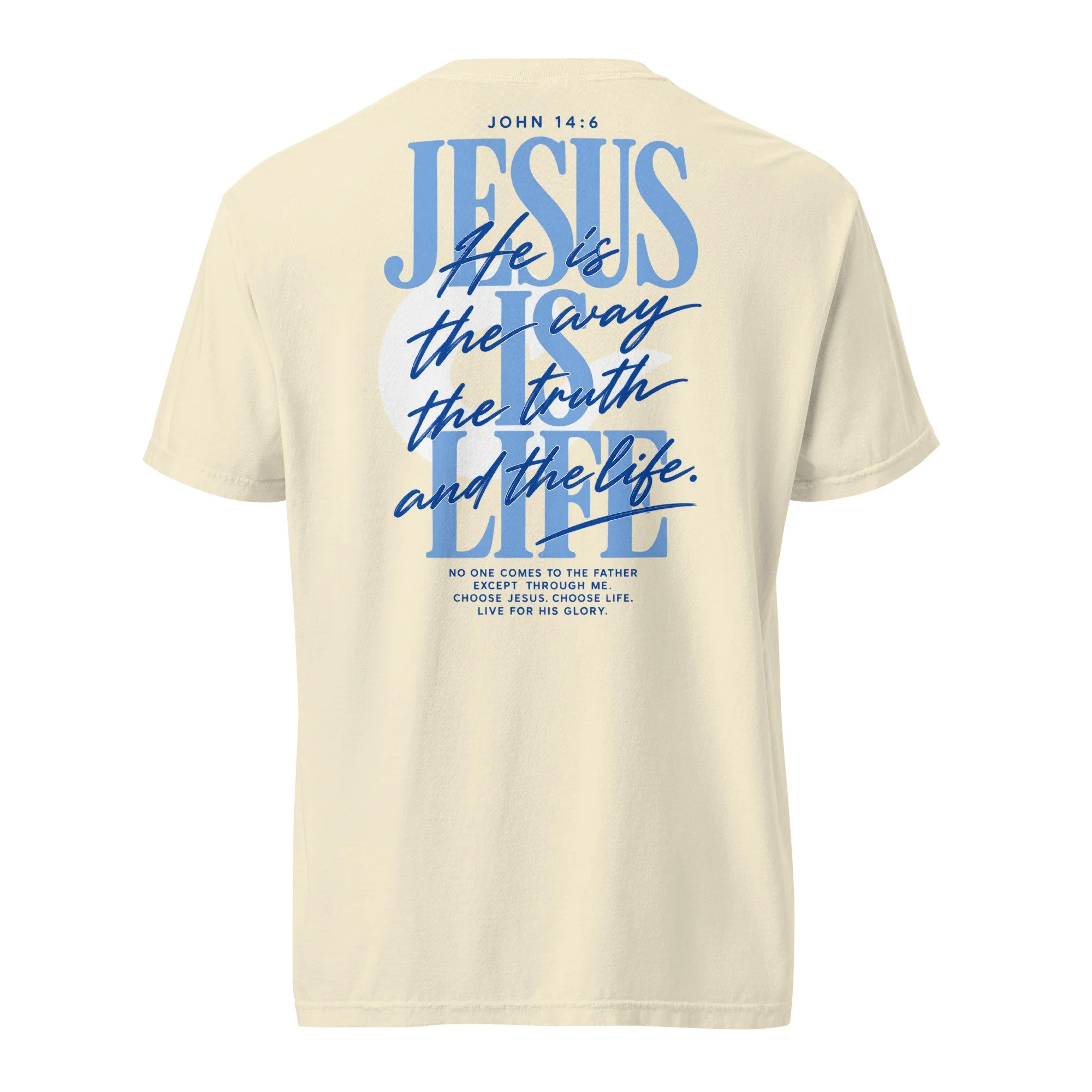 unisex-garment-dyed-heavyweight-t-shirt-ivory-back-6ad29501b9d1d.jpg