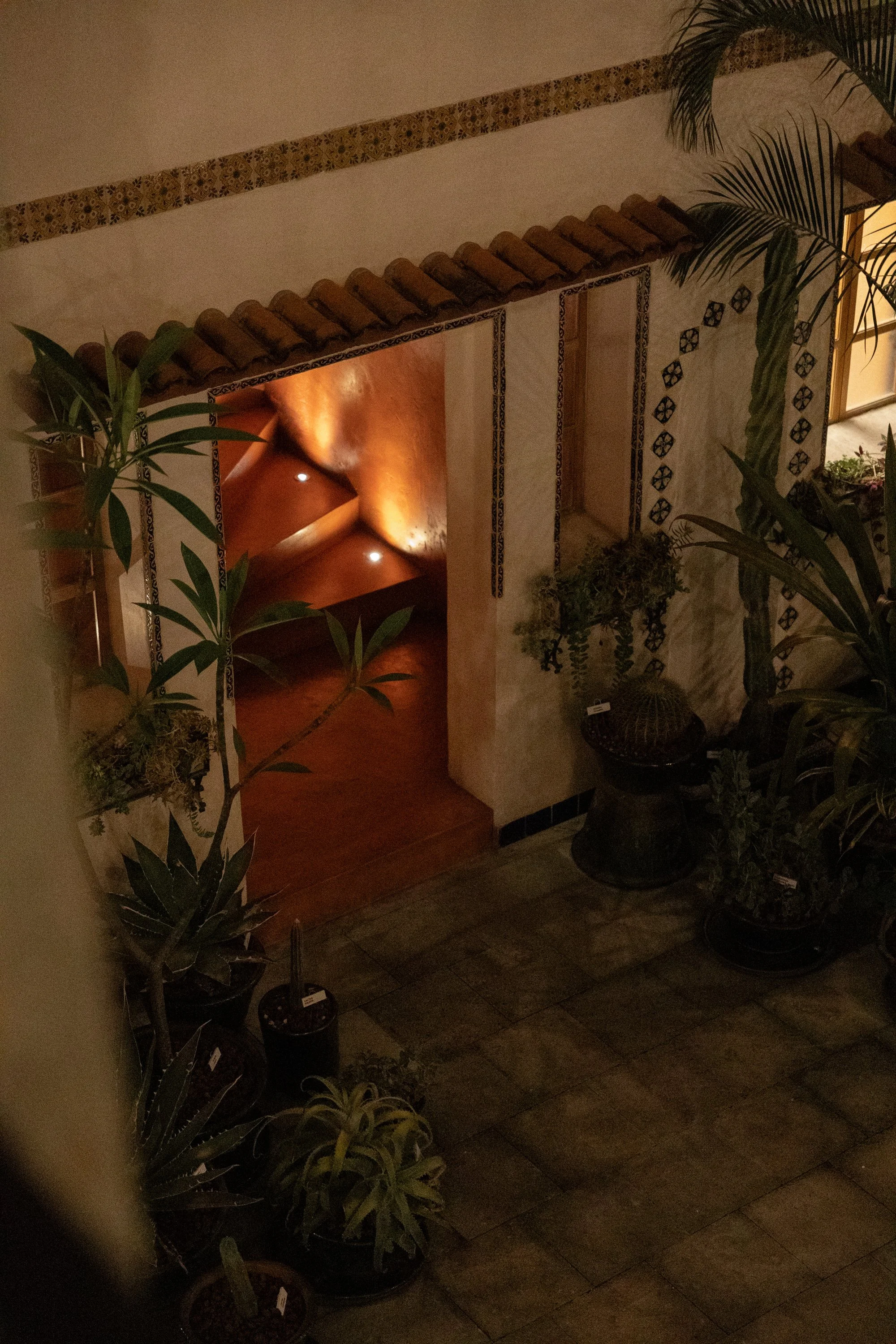 031A3698.jpg