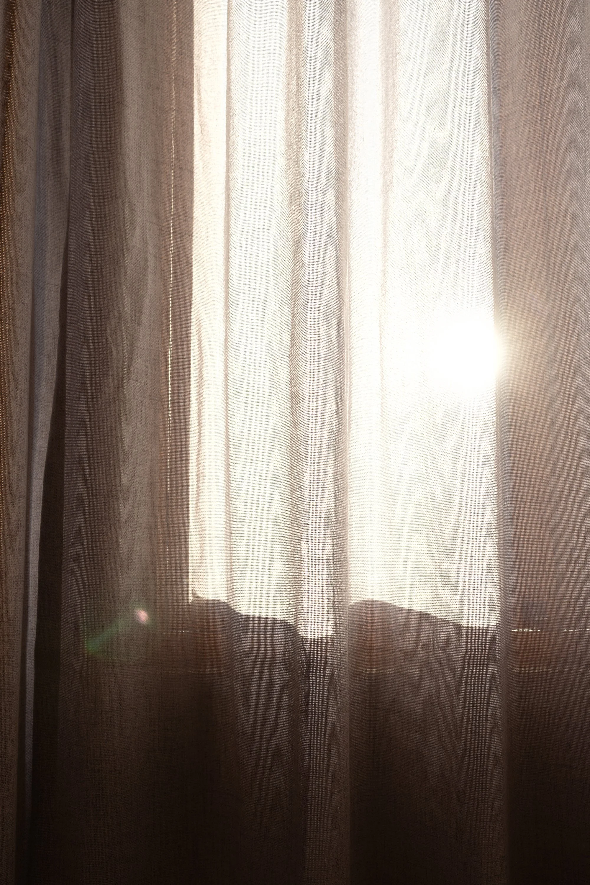031A7150.jpg