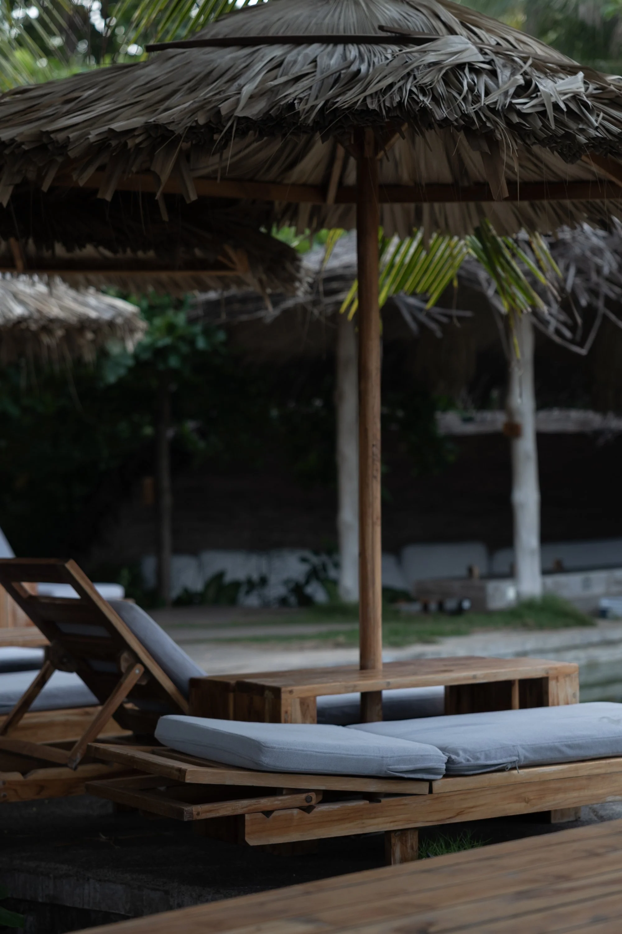 031A0525.jpg