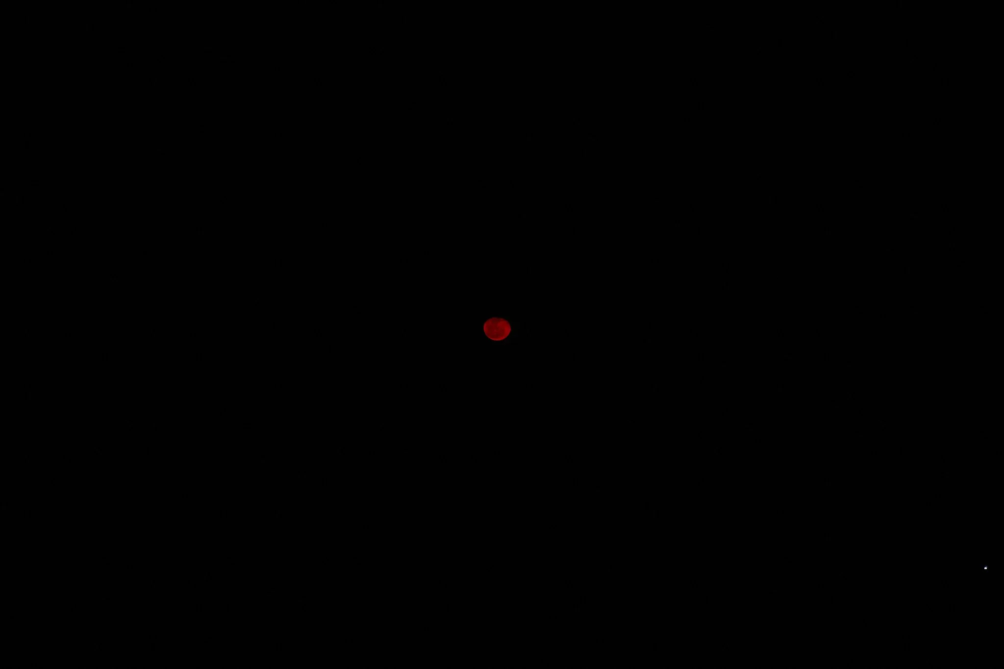 3M9A1474.jpg