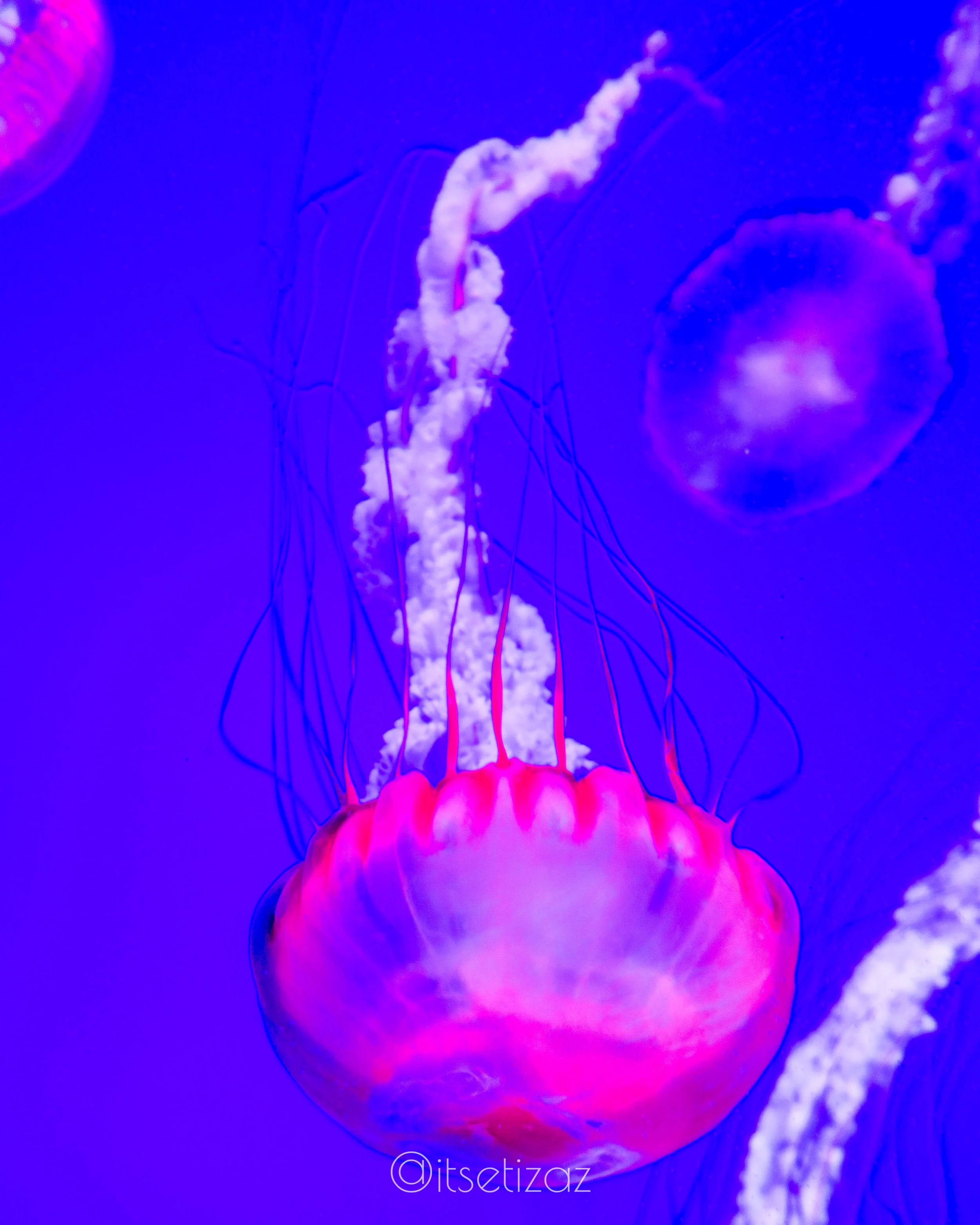 a7bc-12d6-d7dd-ec01-31.jpg
