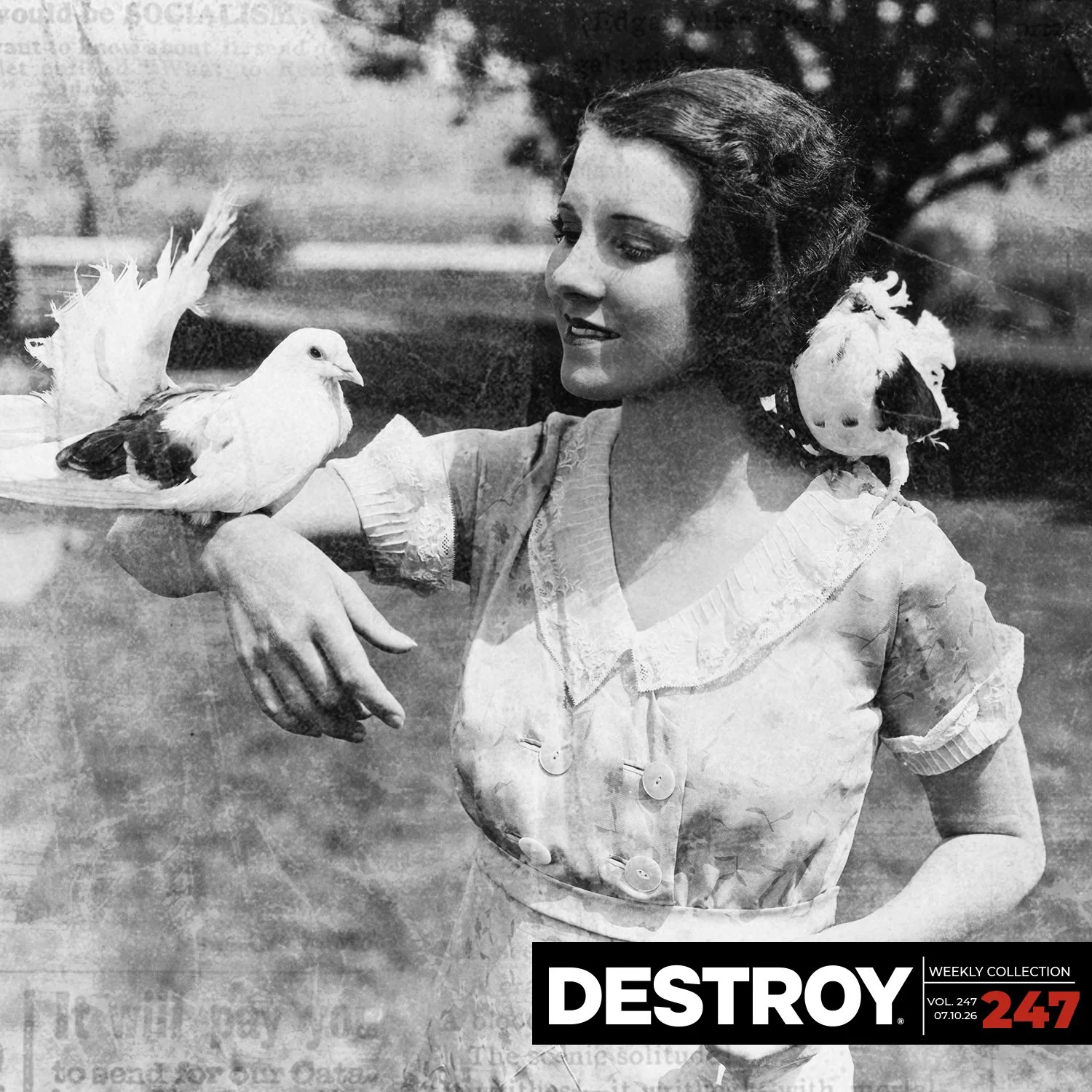 VOL 247