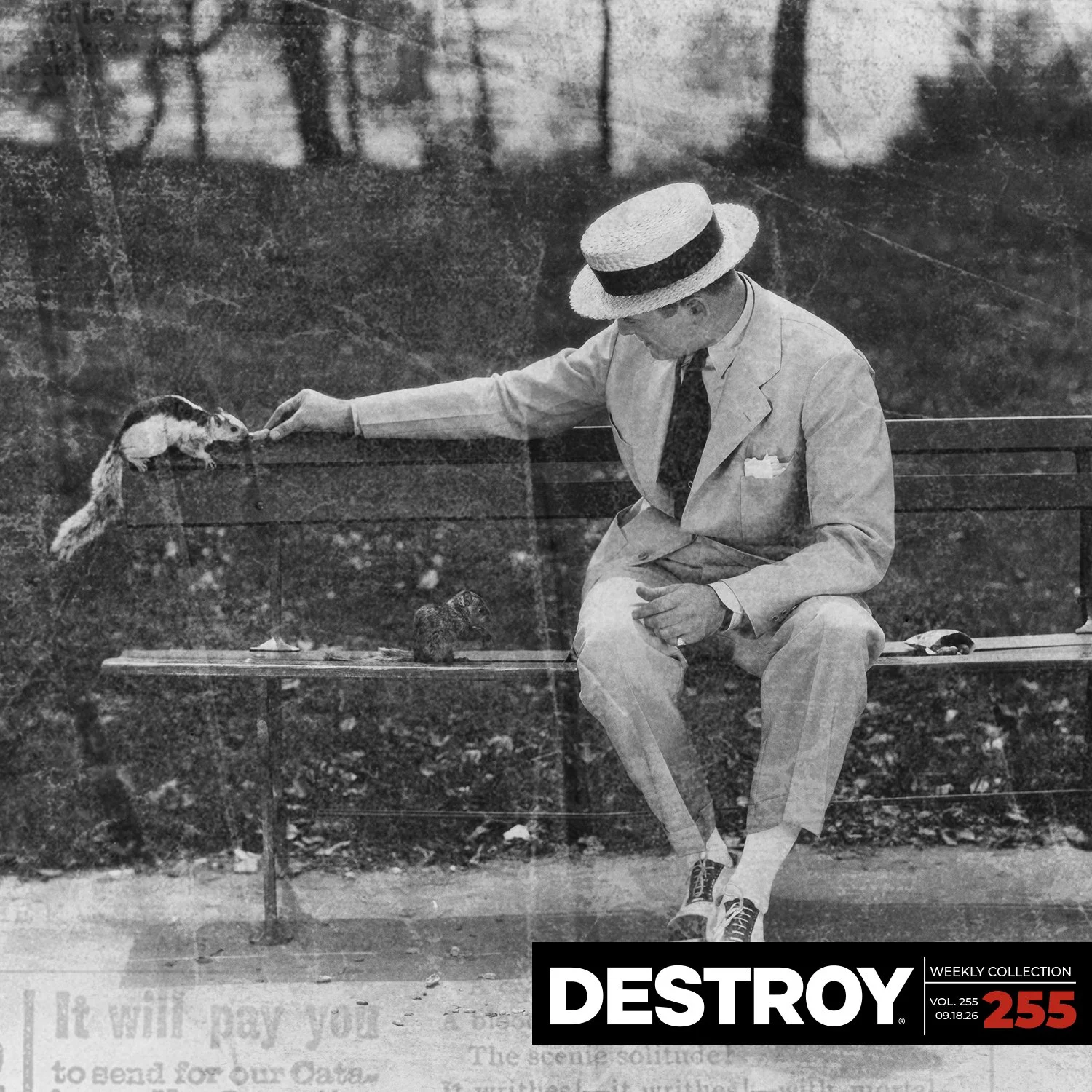 VOL 255