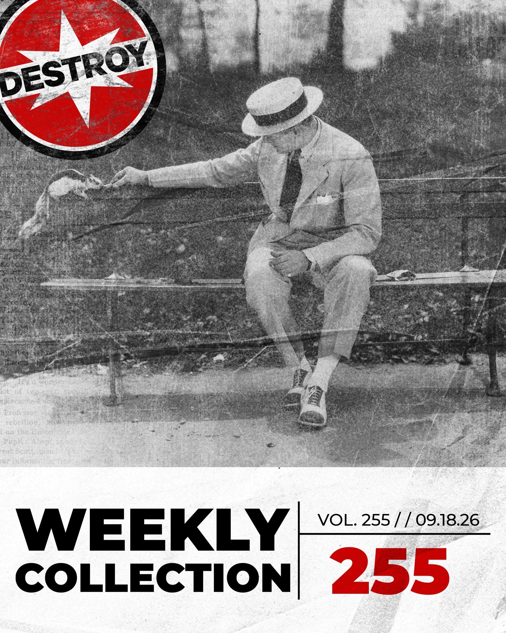 It's Friday, time to once again check out this week's Collection. 

Link in bio.

#destroy #destroyagency #practicallydangerous  #agencylife