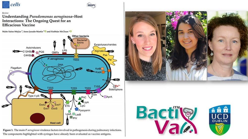 Congratulations to #BactiVax researchers @irenejm6, @maite_s96 and Assoc. Prof. Siobh&aacute;n McClean on their recently published review on Pseudomonas aeruginosa #vaccine development!
🦠 P. aeruginosa is an antibiotic-resistant, hospital-acquired p