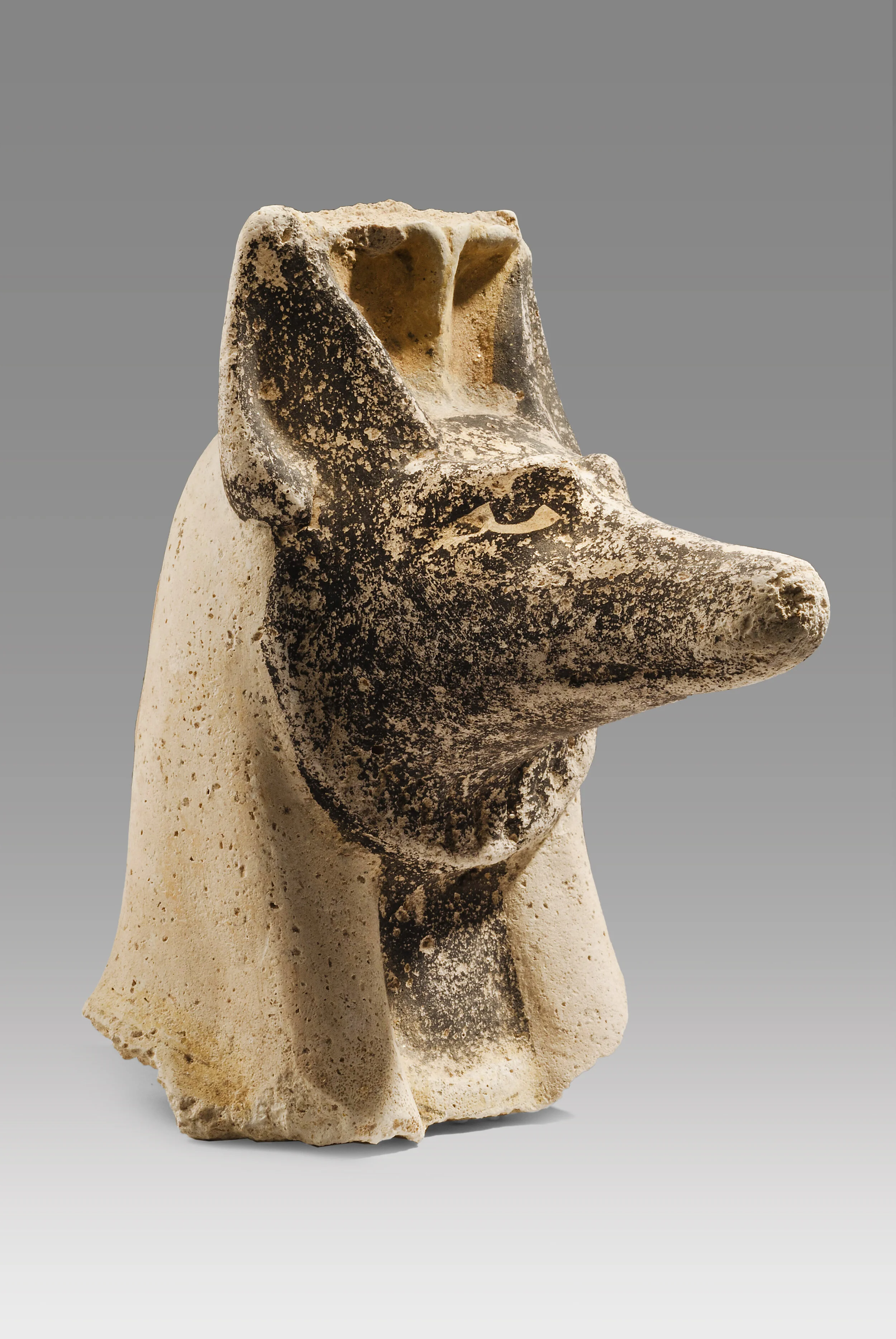 Ancient Egyptian Plaster Head of Anubis