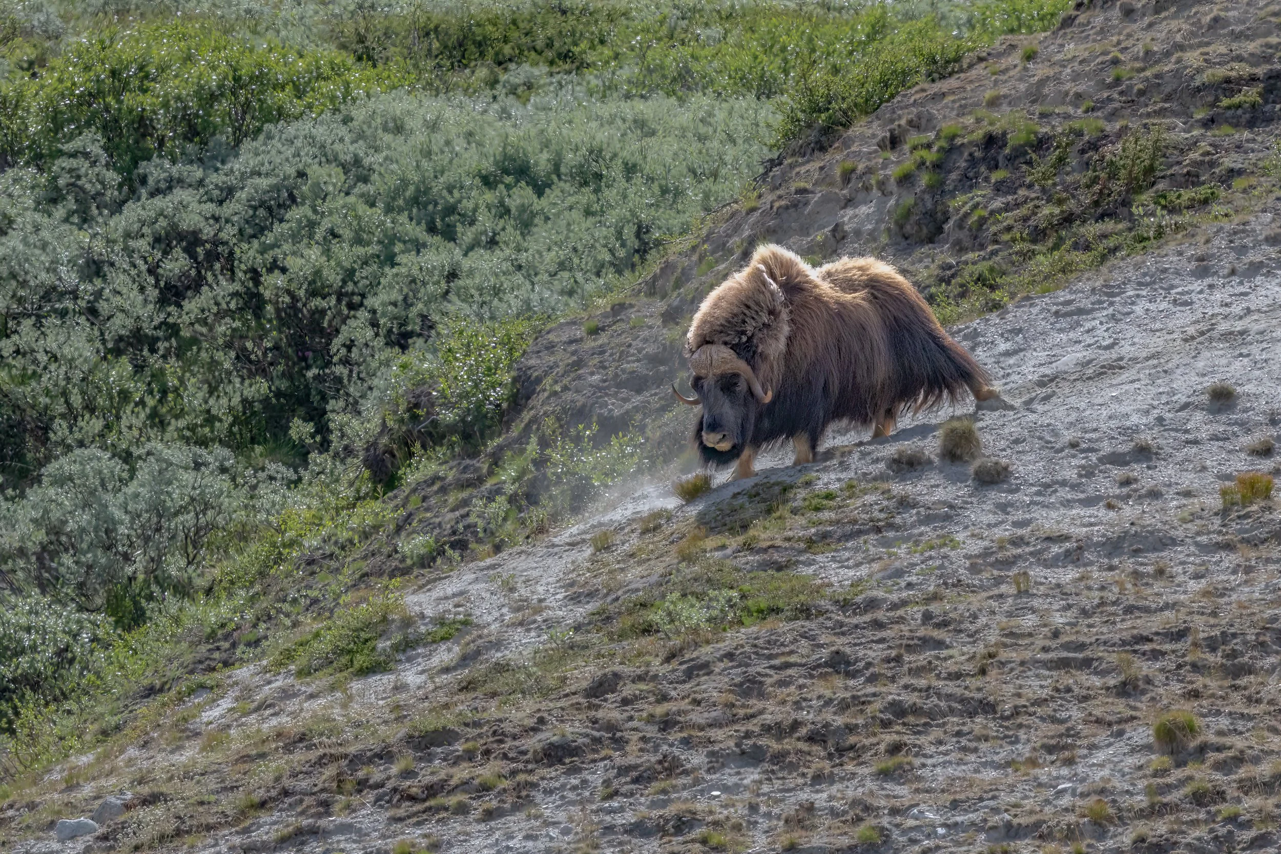 032A7321-Bearbeitet-6.jpg