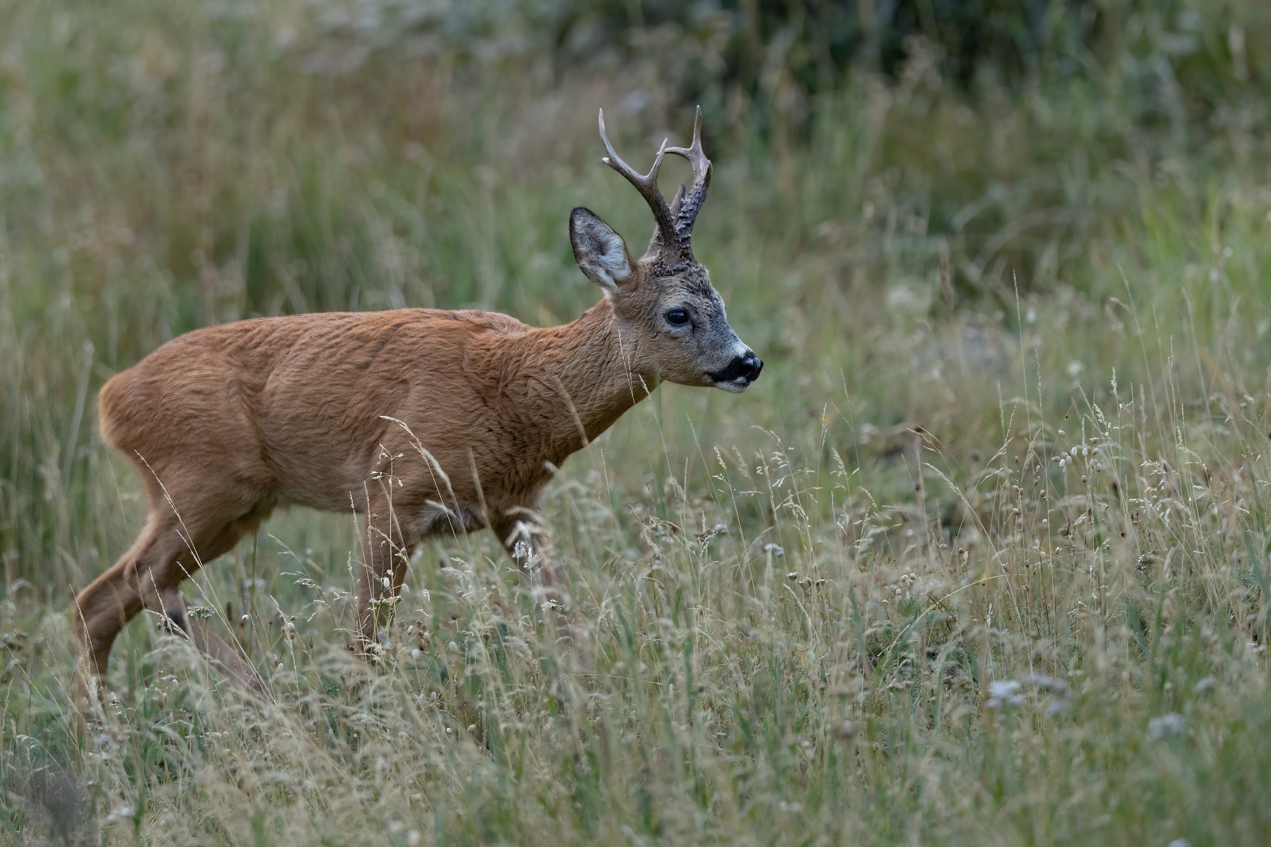 032A0887-Bearbeitet.jpg
