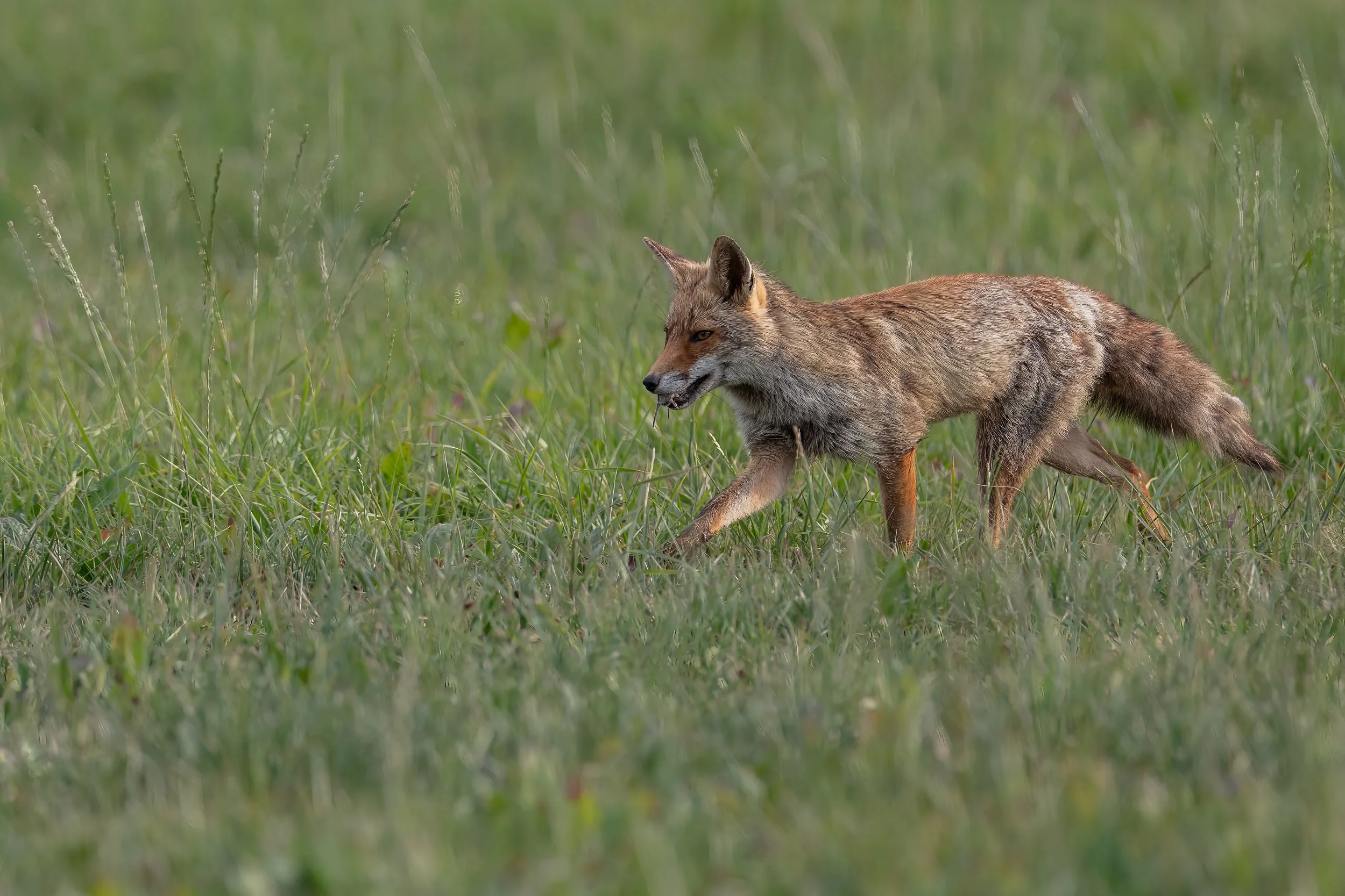 032A0073-Bearbeitet.jpg