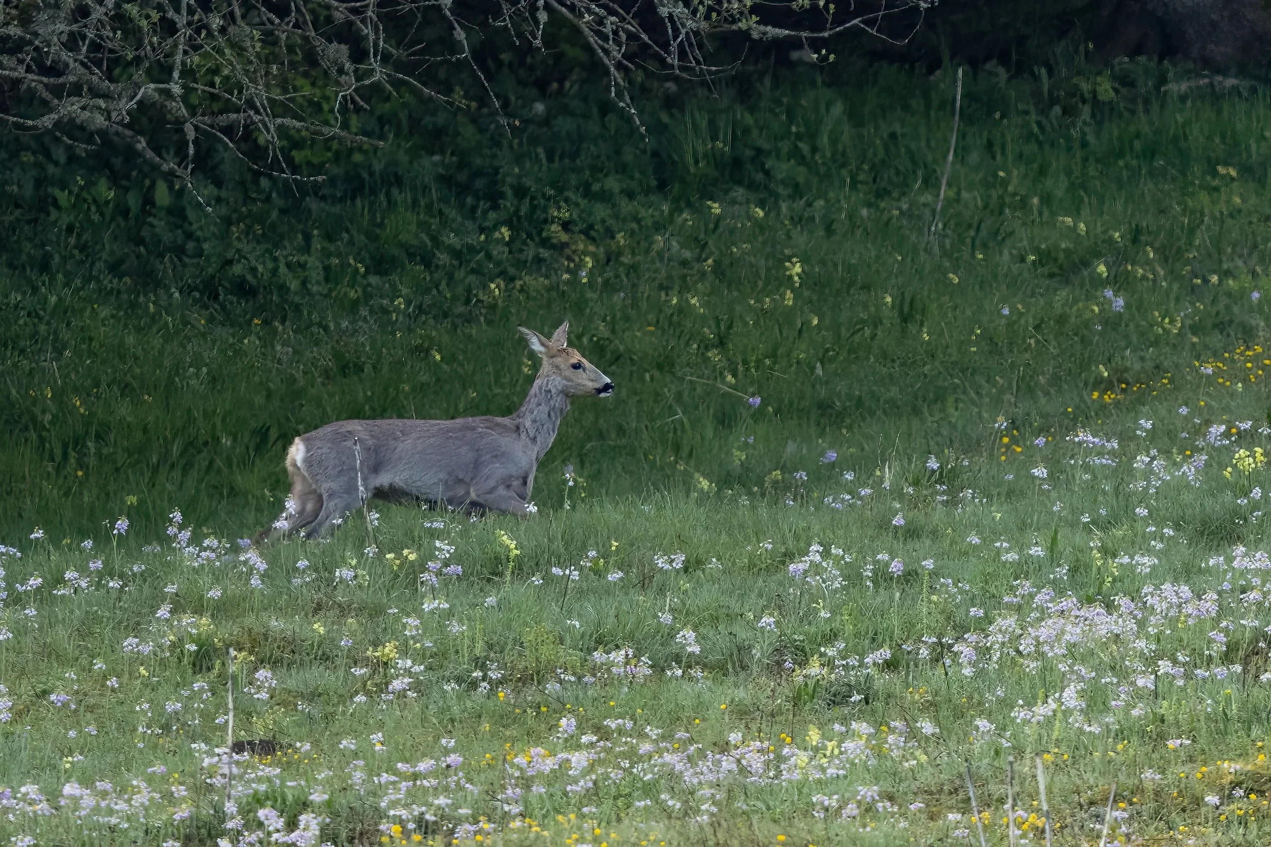 NR6A9182-Bearbeitet.jpg