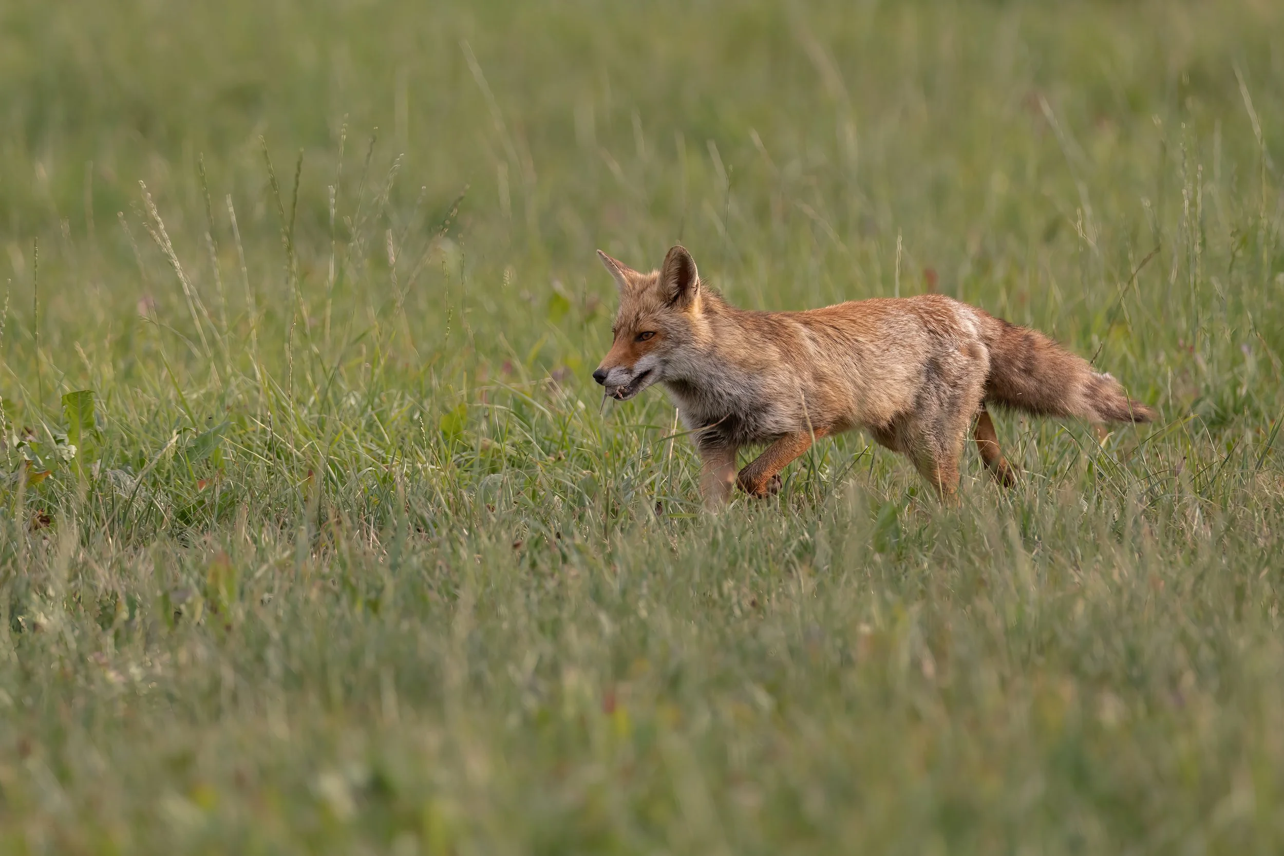 032A0075-Bearbeitet.jpg